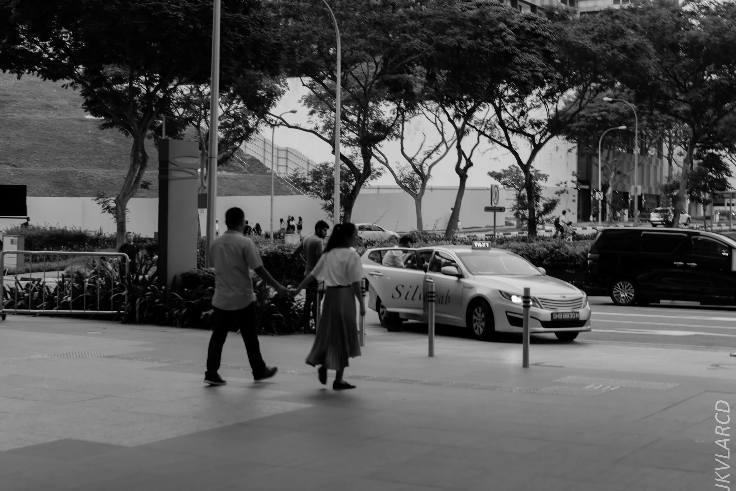 EOS 7D Mark II_2018_07_29_0145.jpg