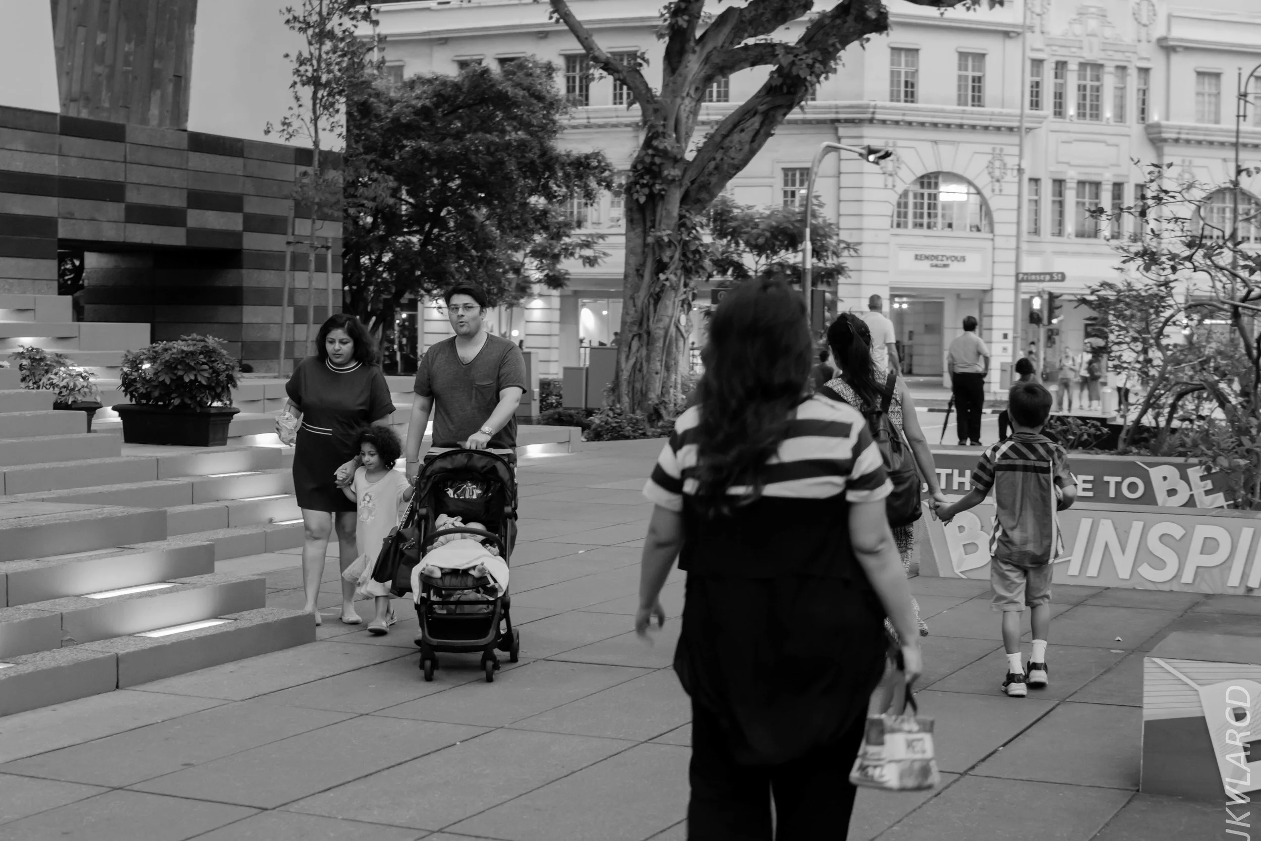 EOS 7D Mark II_2018_07_29_0151.jpg