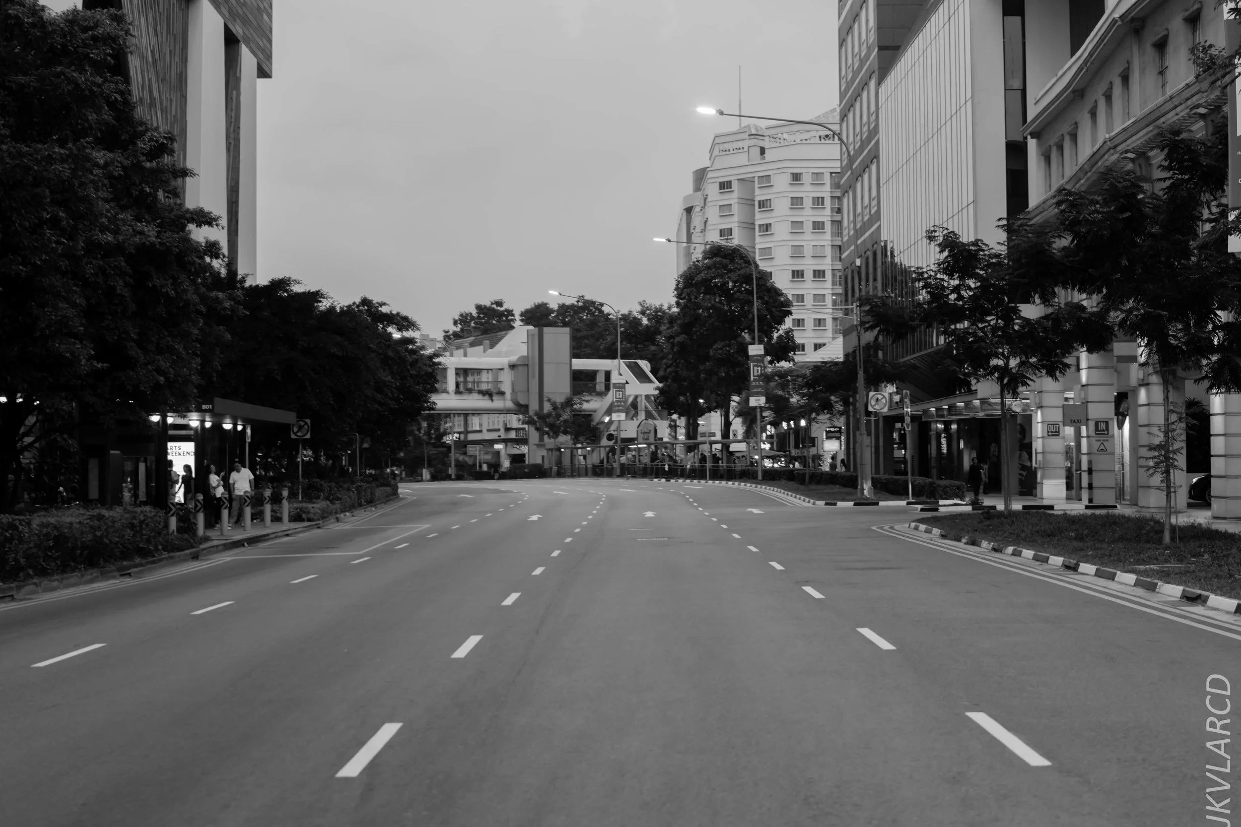 EOS 7D Mark II_2018_07_29_0152.jpg