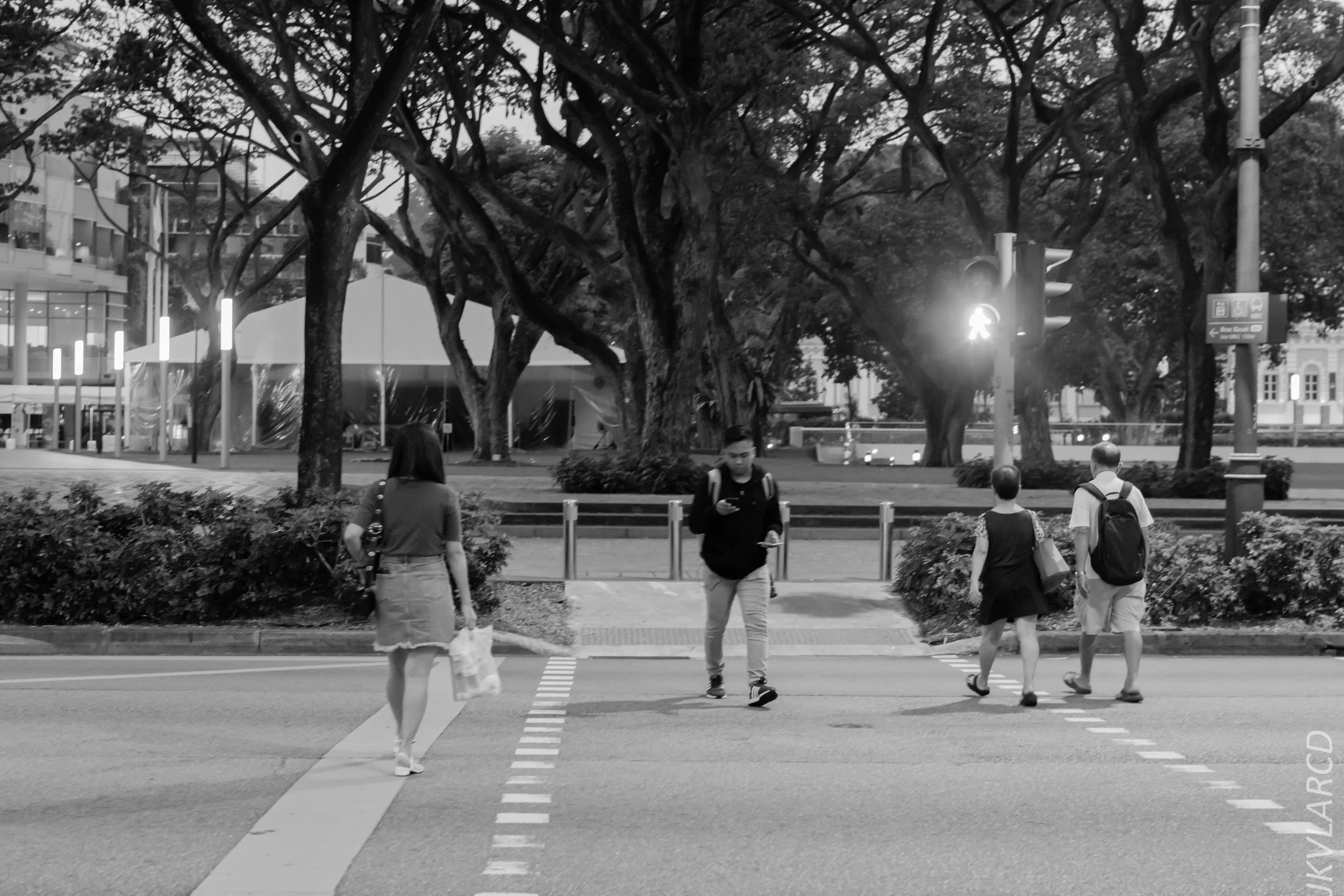 EOS 7D Mark II_2018_07_29_0154.jpg