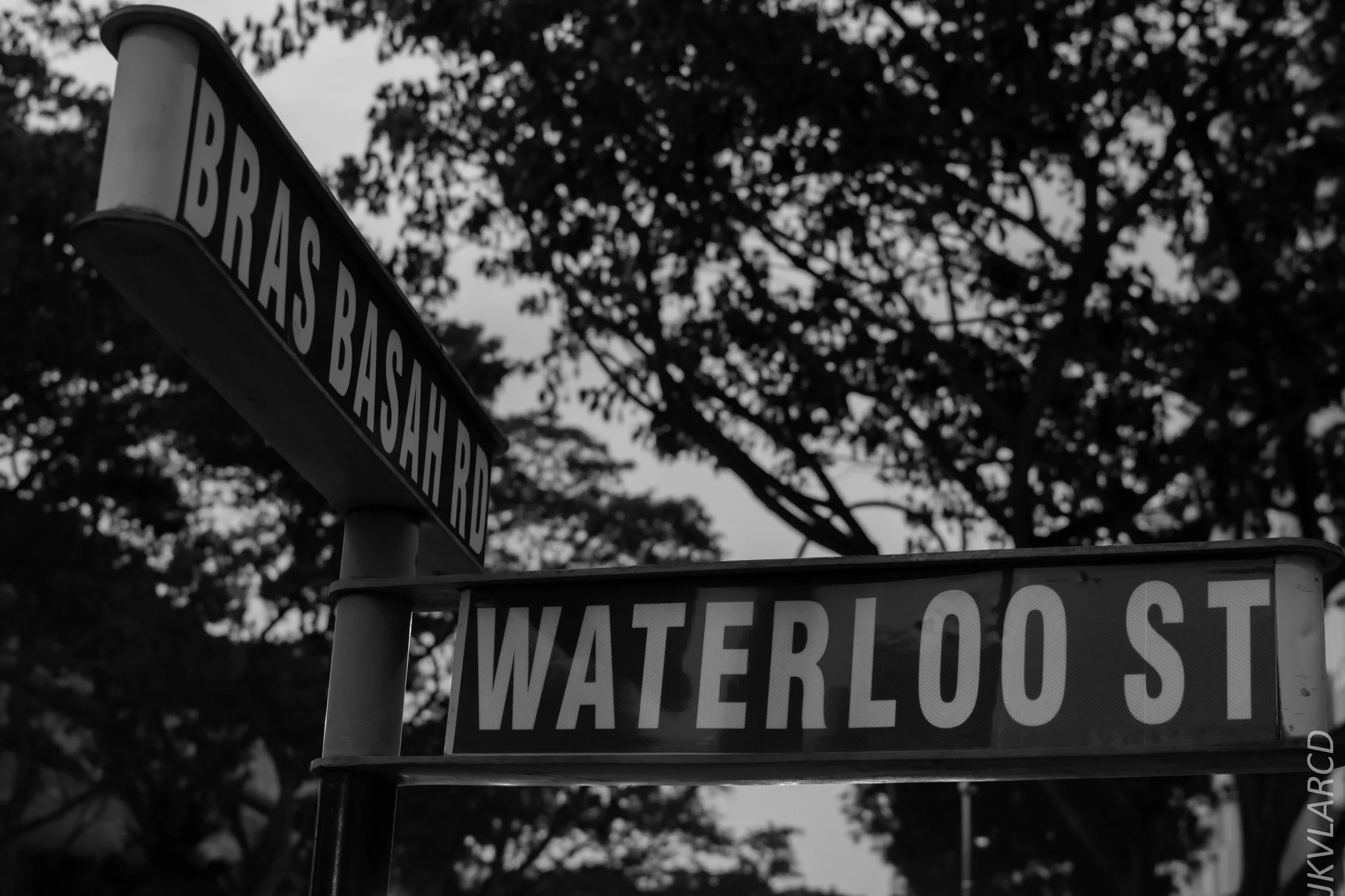 EOS 7D Mark II_2018_07_29_0158.jpg