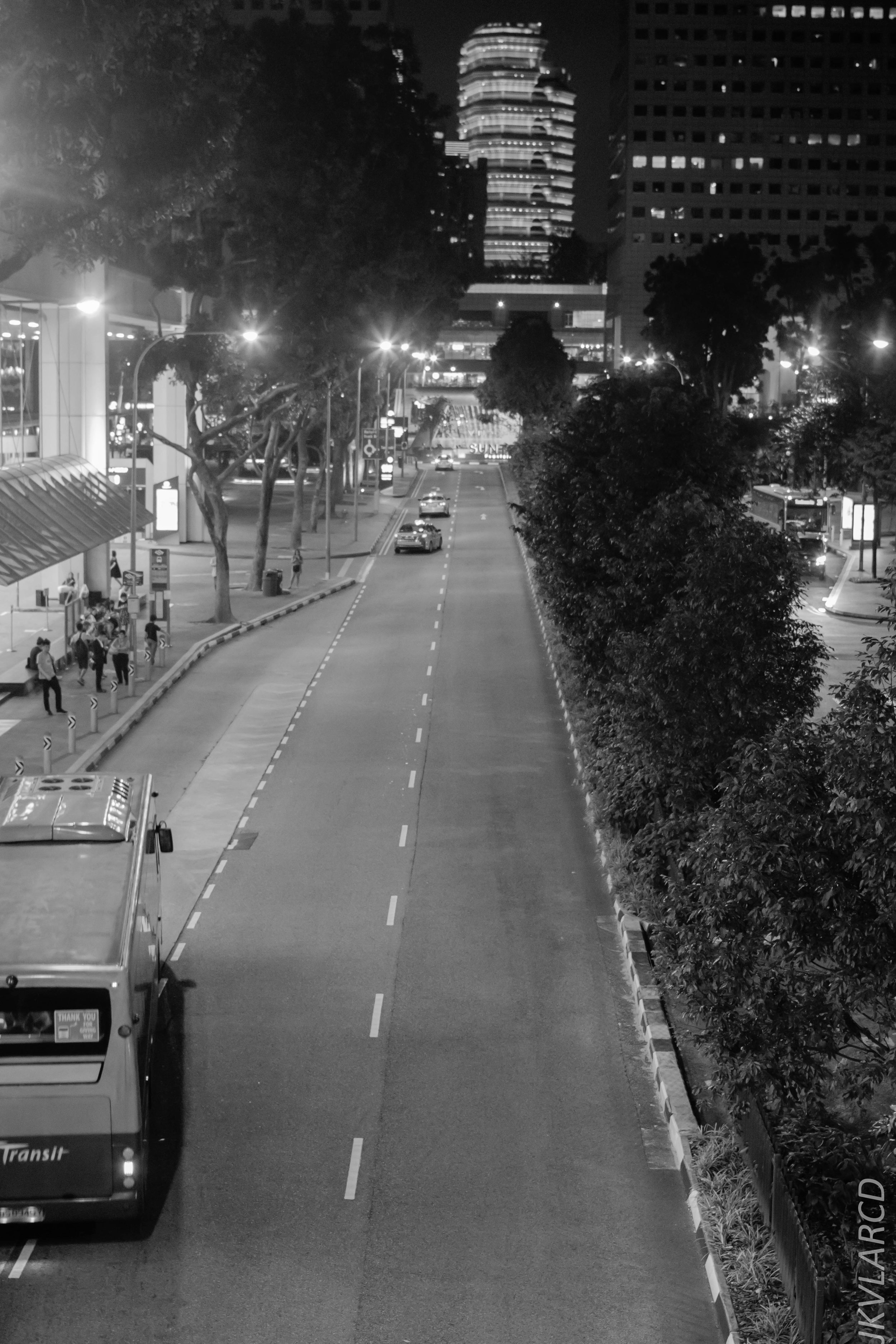 EOS 7D Mark II_2018_07_29_0167.jpg