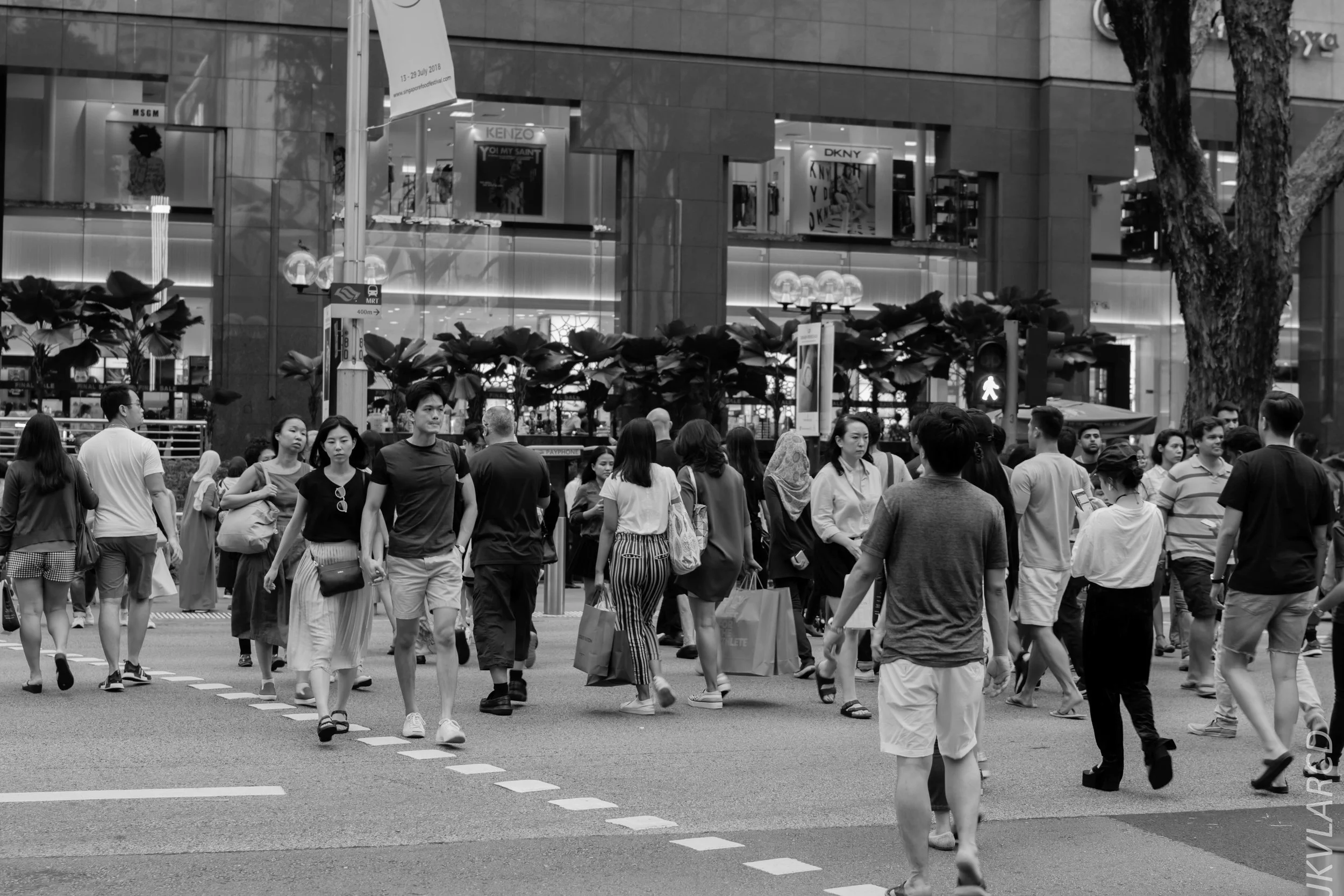 EOS 7D Mark II_2018_07_29_0097.jpg