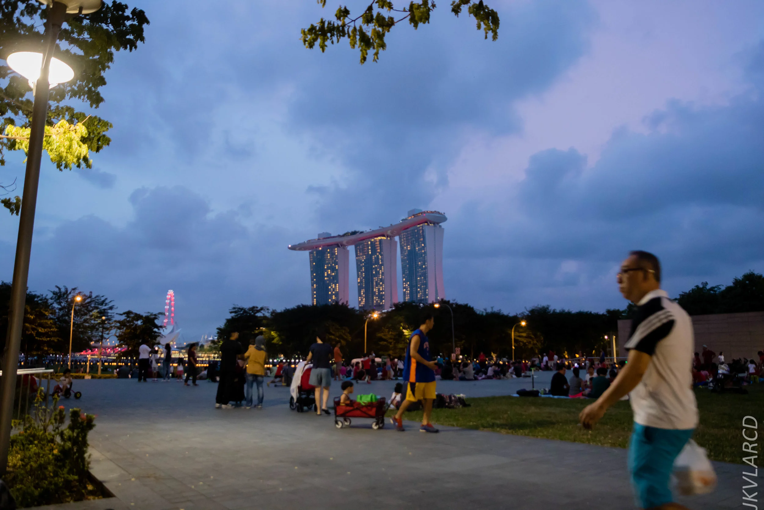 EOS 7D Mark II_2018_08_04_0480.jpg