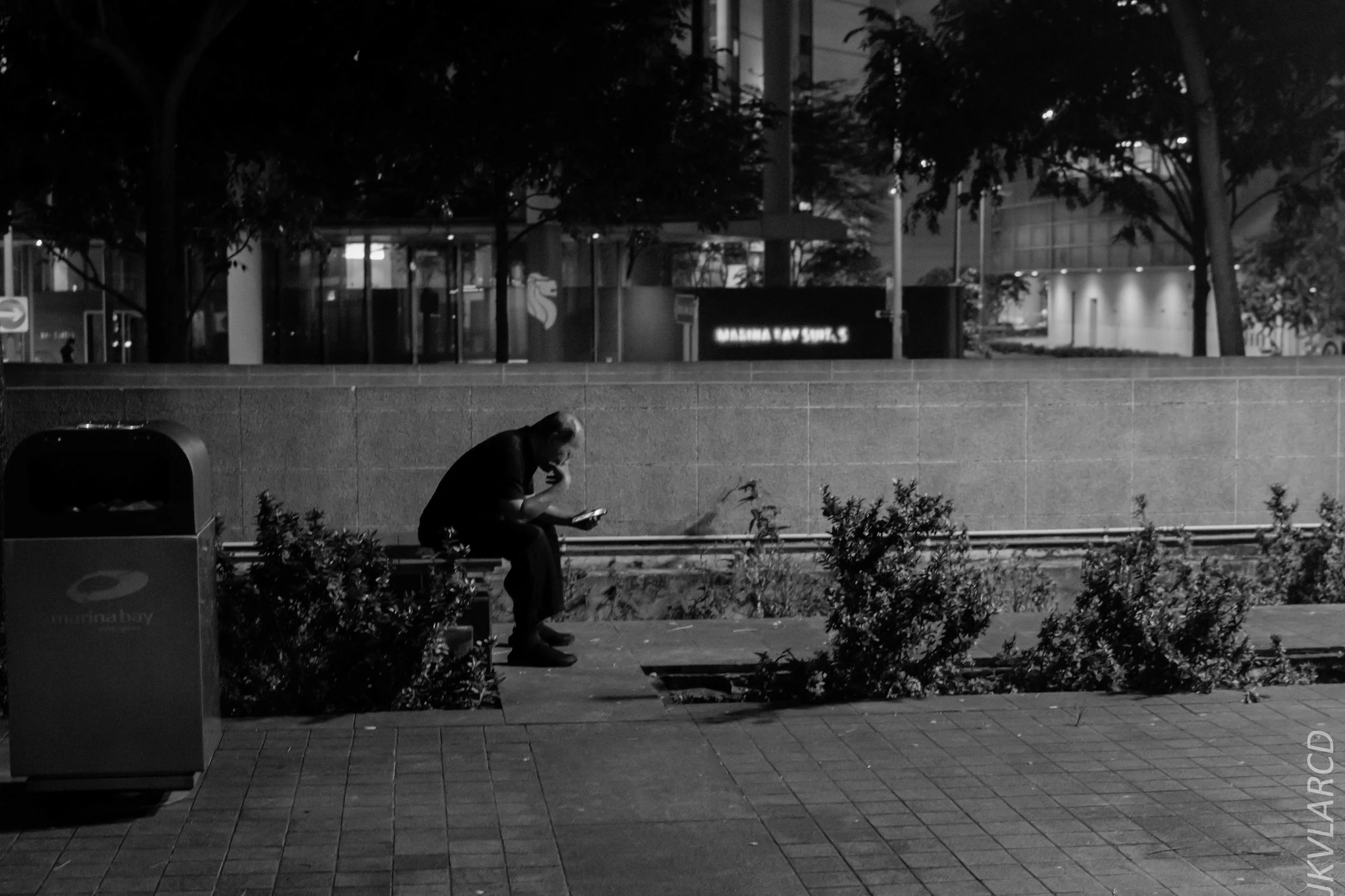 EOS 7D Mark II_2018_08_04_1257.jpg