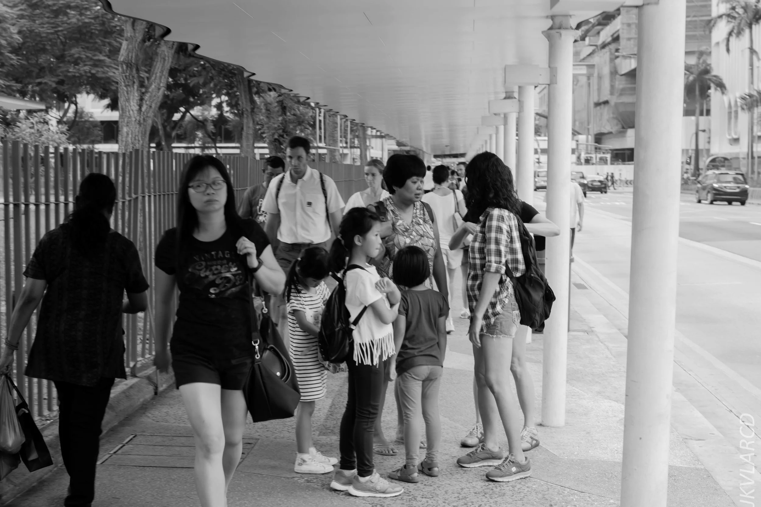 EOS 7D Mark II_2018_08_09_1265.jpg