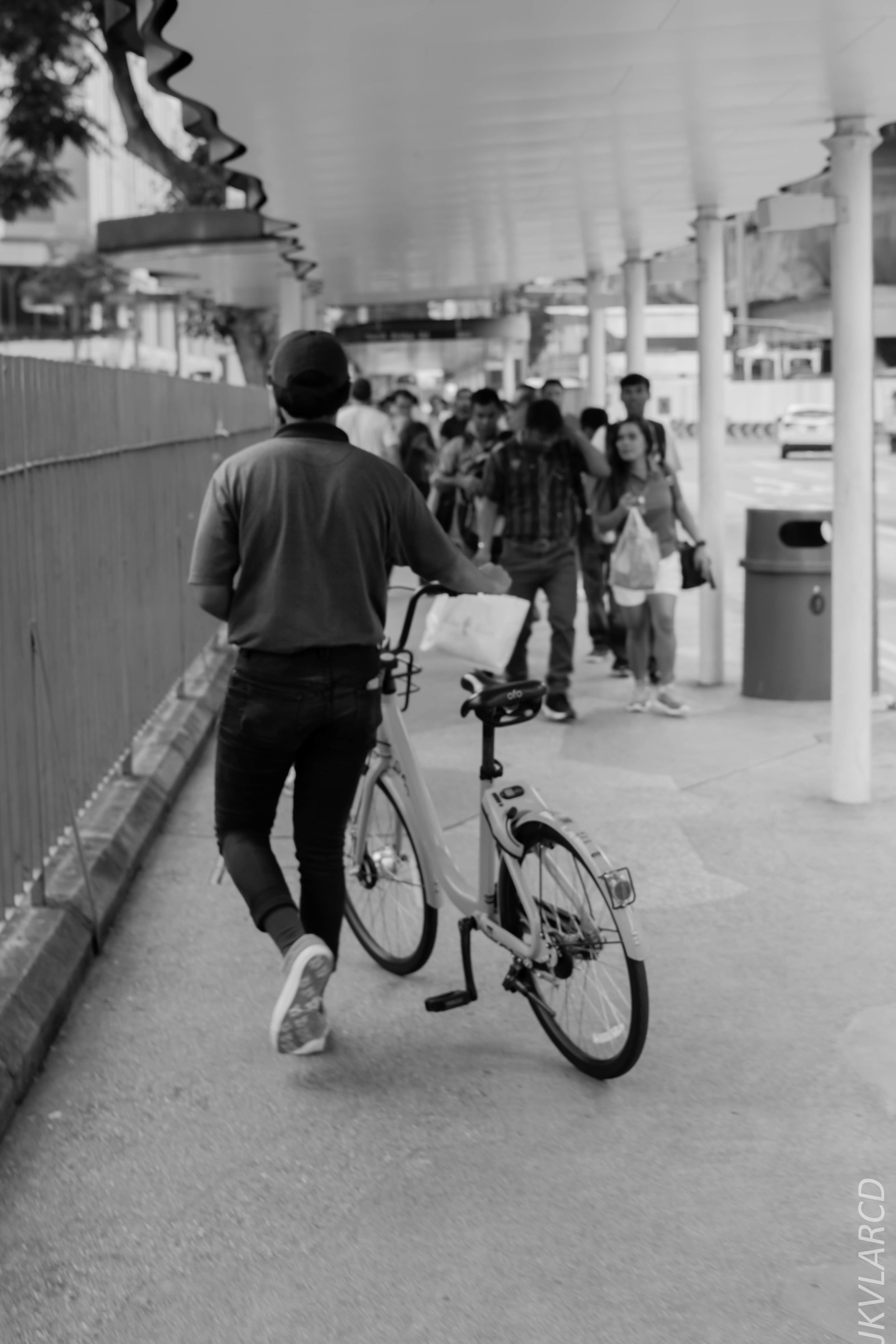 EOS 7D Mark II_2018_08_09_1267.jpg