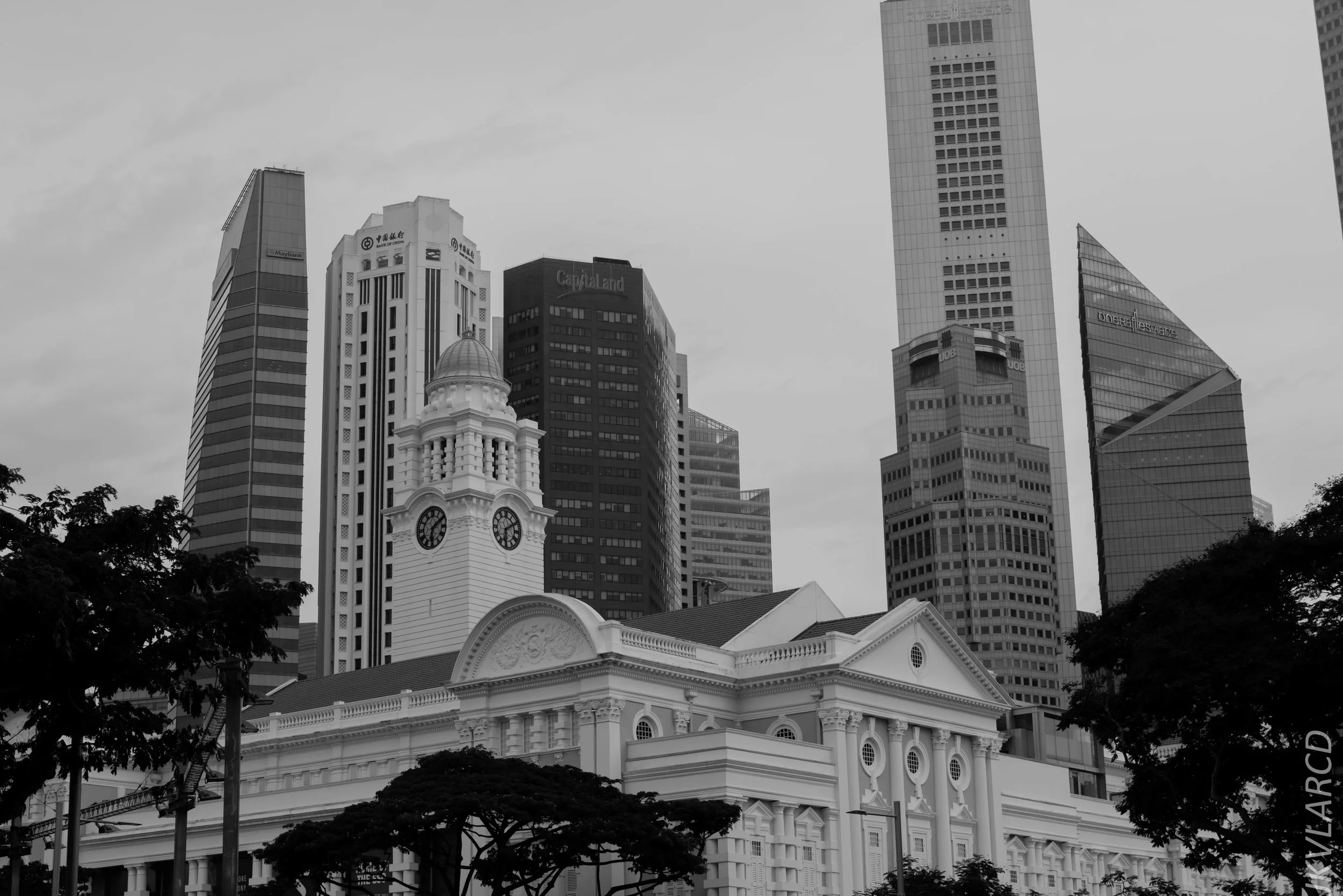 EOS 7D Mark II_2018_08_09_1274.jpg