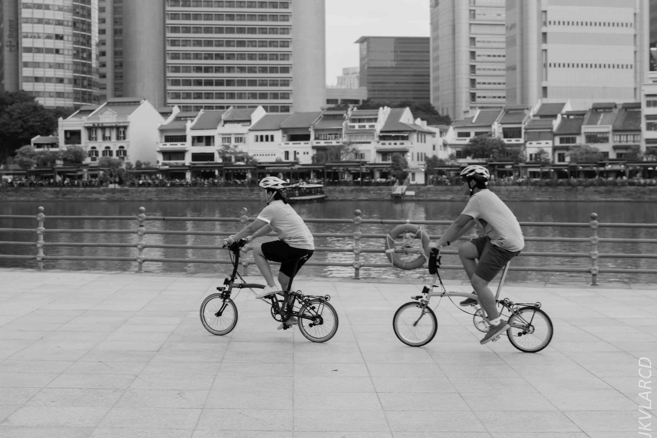 EOS 7D Mark II_2018_08_09_1279.jpg