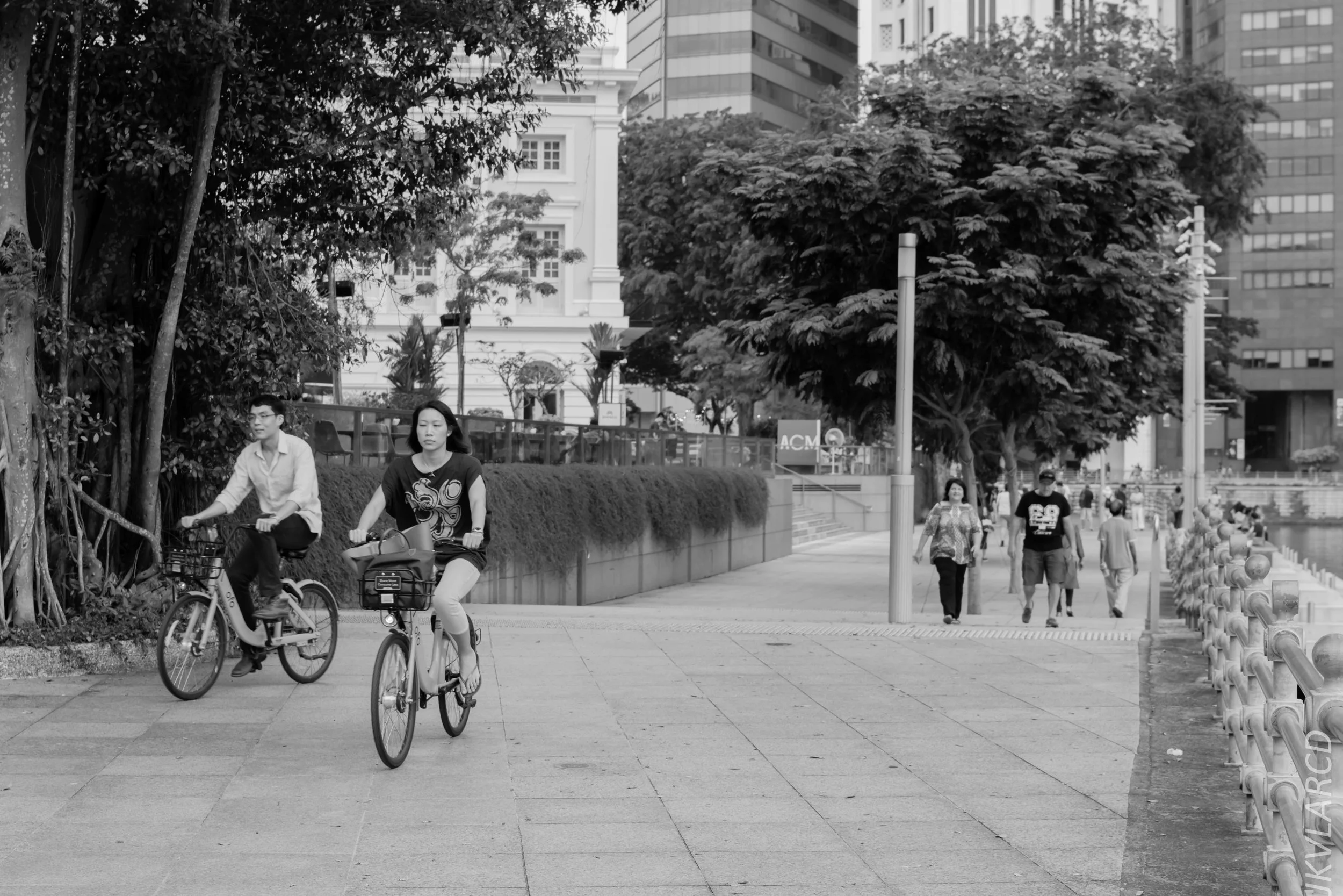 EOS 7D Mark II_2018_08_09_1281.jpg