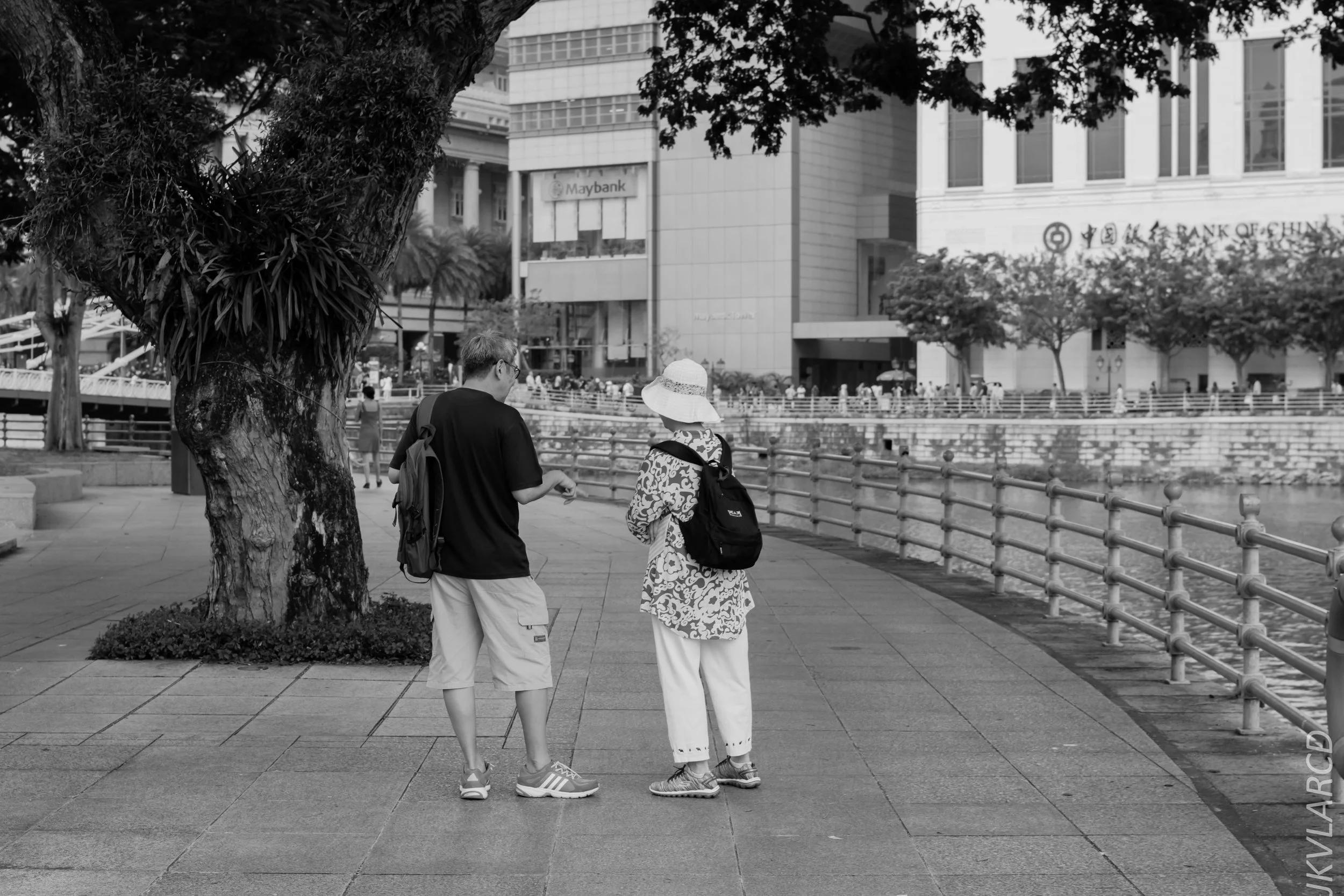 EOS 7D Mark II_2018_08_09_1284.jpg