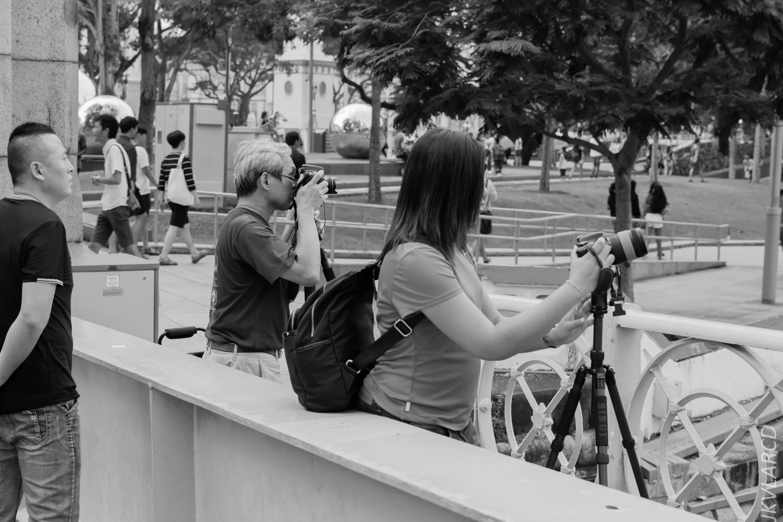 EOS 7D Mark II_2018_08_09_1287.jpg