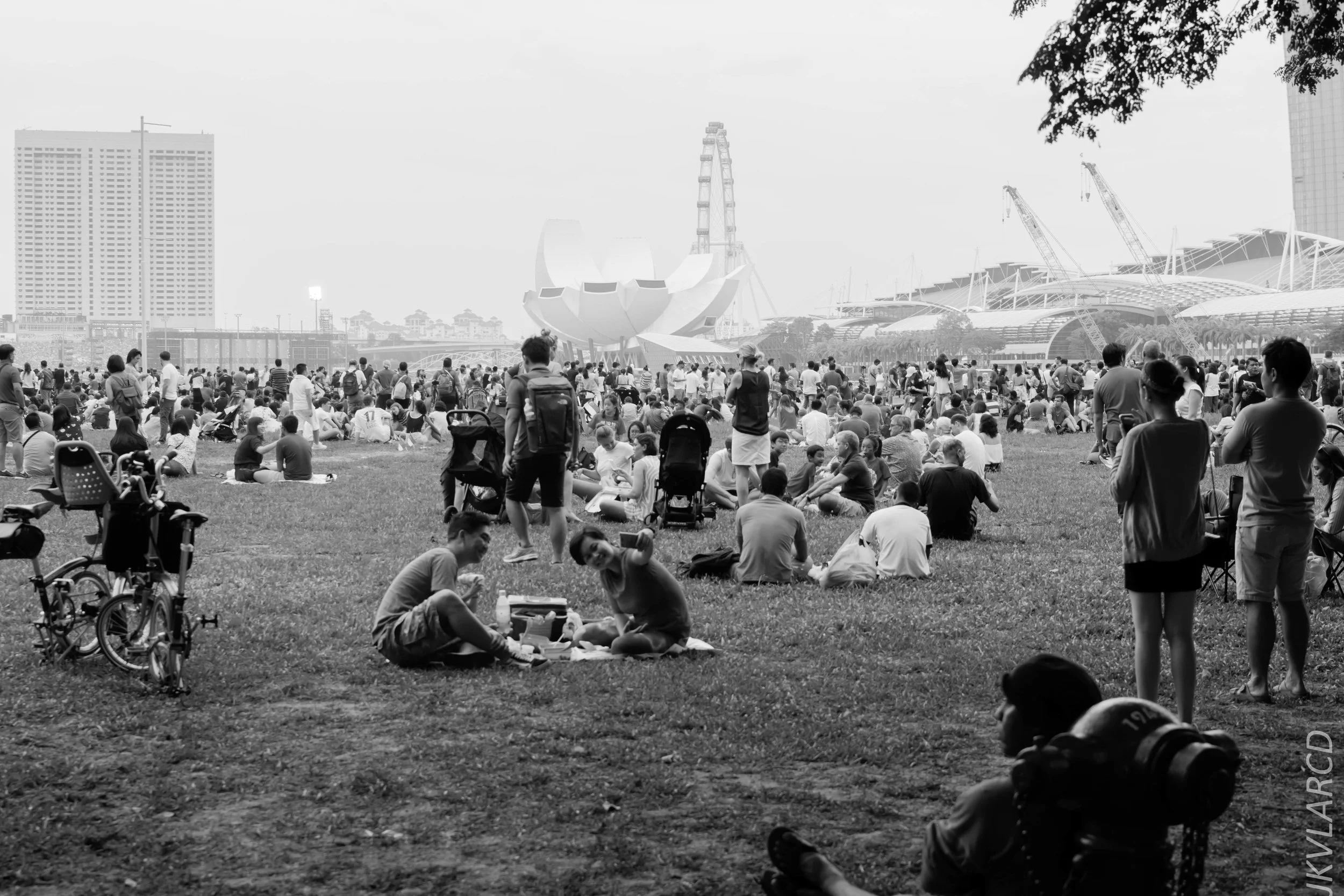 EOS 7D Mark II_2018_08_09_1299.jpg