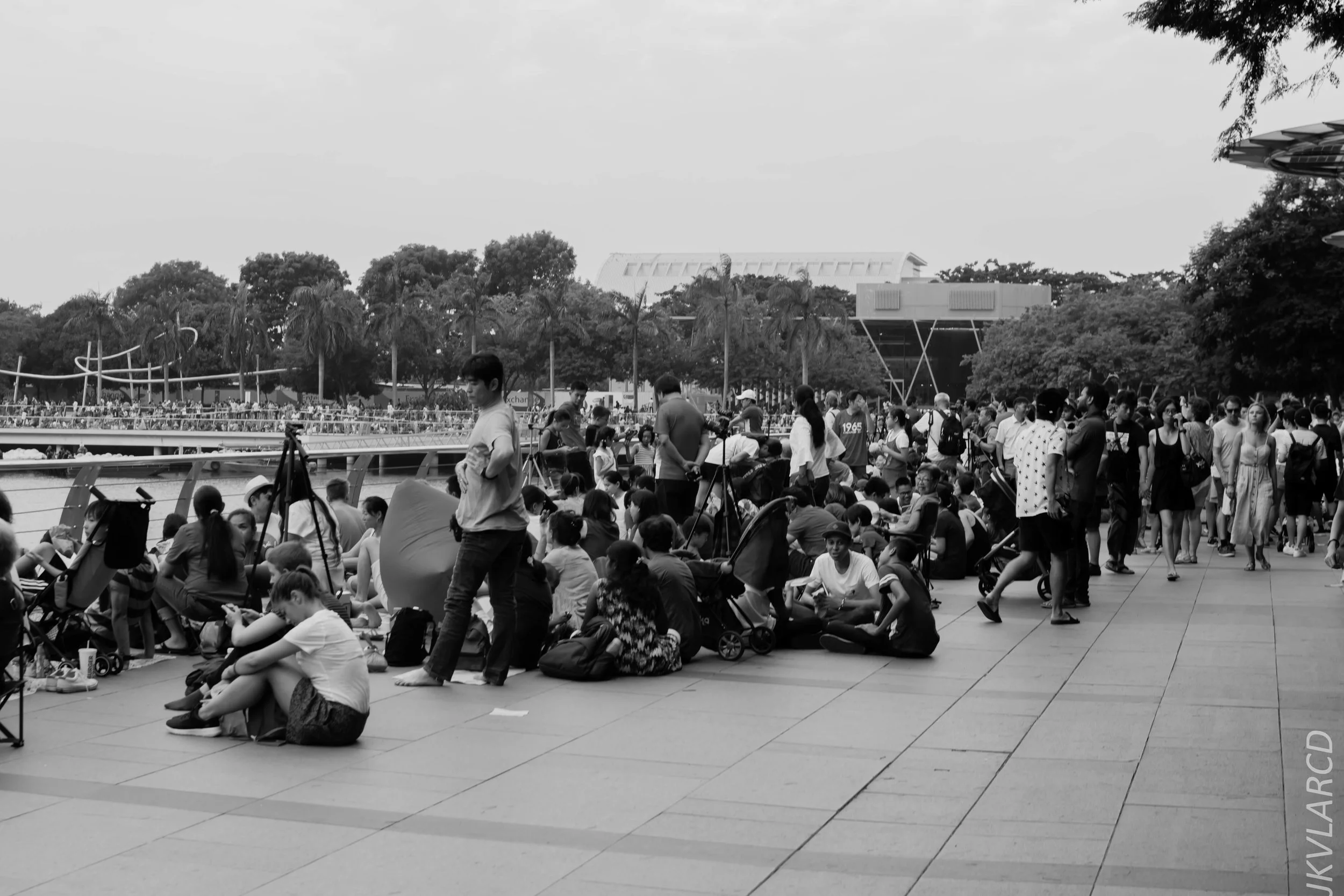 EOS 7D Mark II_2018_08_09_1300.jpg