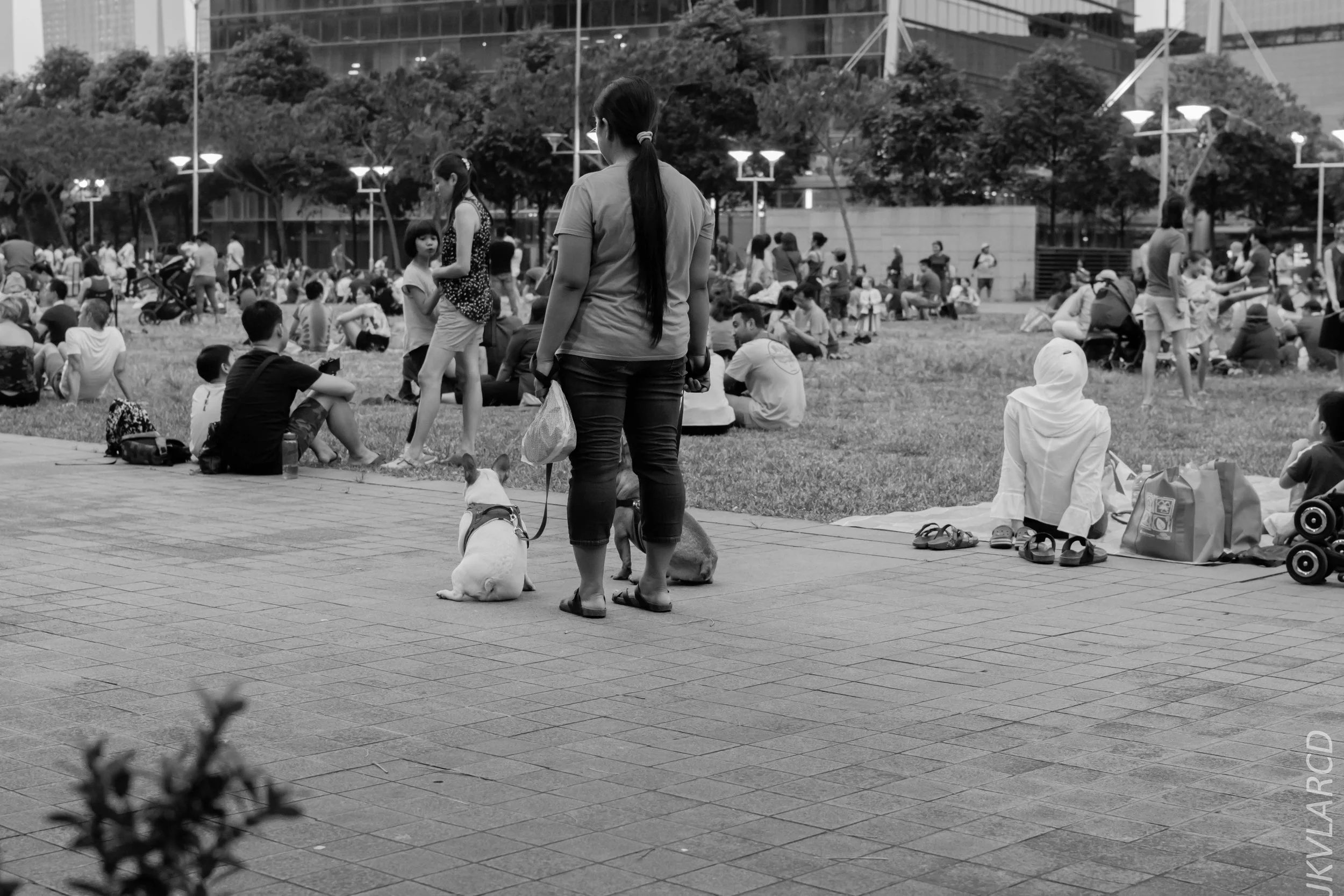 EOS 7D Mark II_2018_08_09_1312.jpg