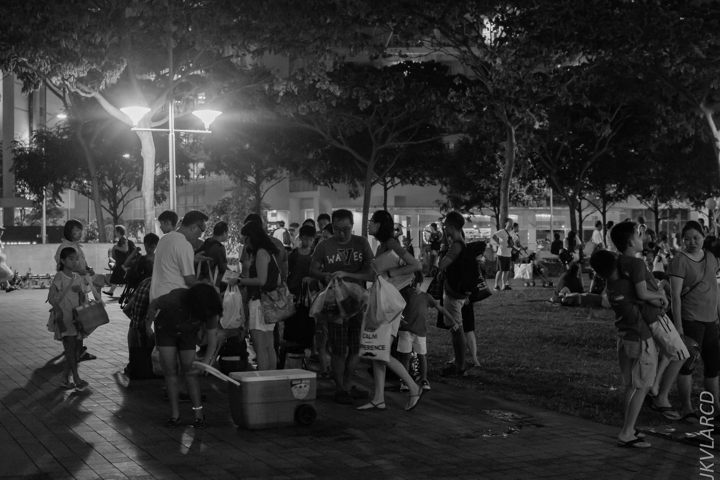 EOS 7D Mark II_2018_08_09_1823.jpg