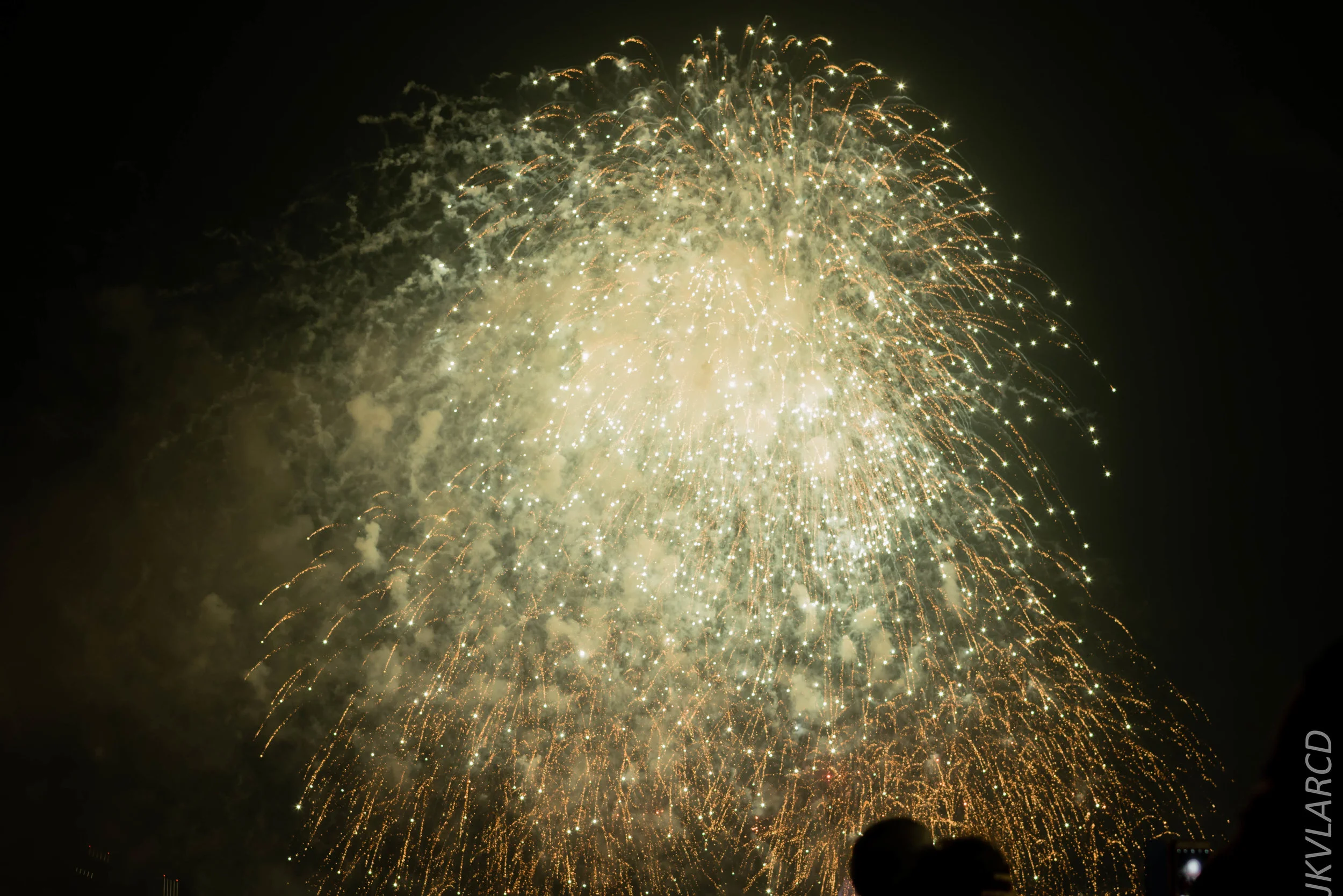 EOS 7D Mark II_2018_08_09_1724.jpg