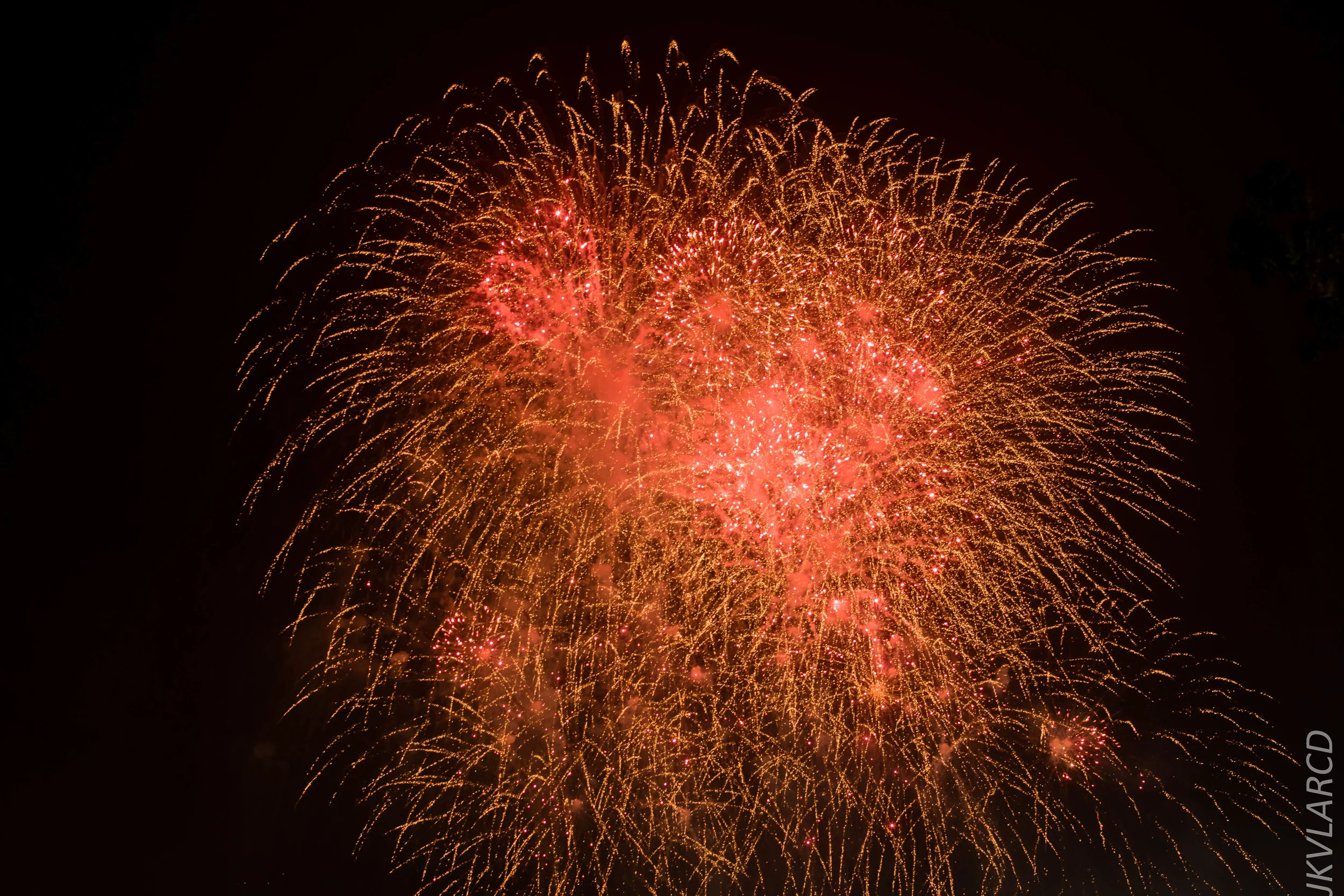 EOS 7D Mark II_2018_08_09_1799.jpg