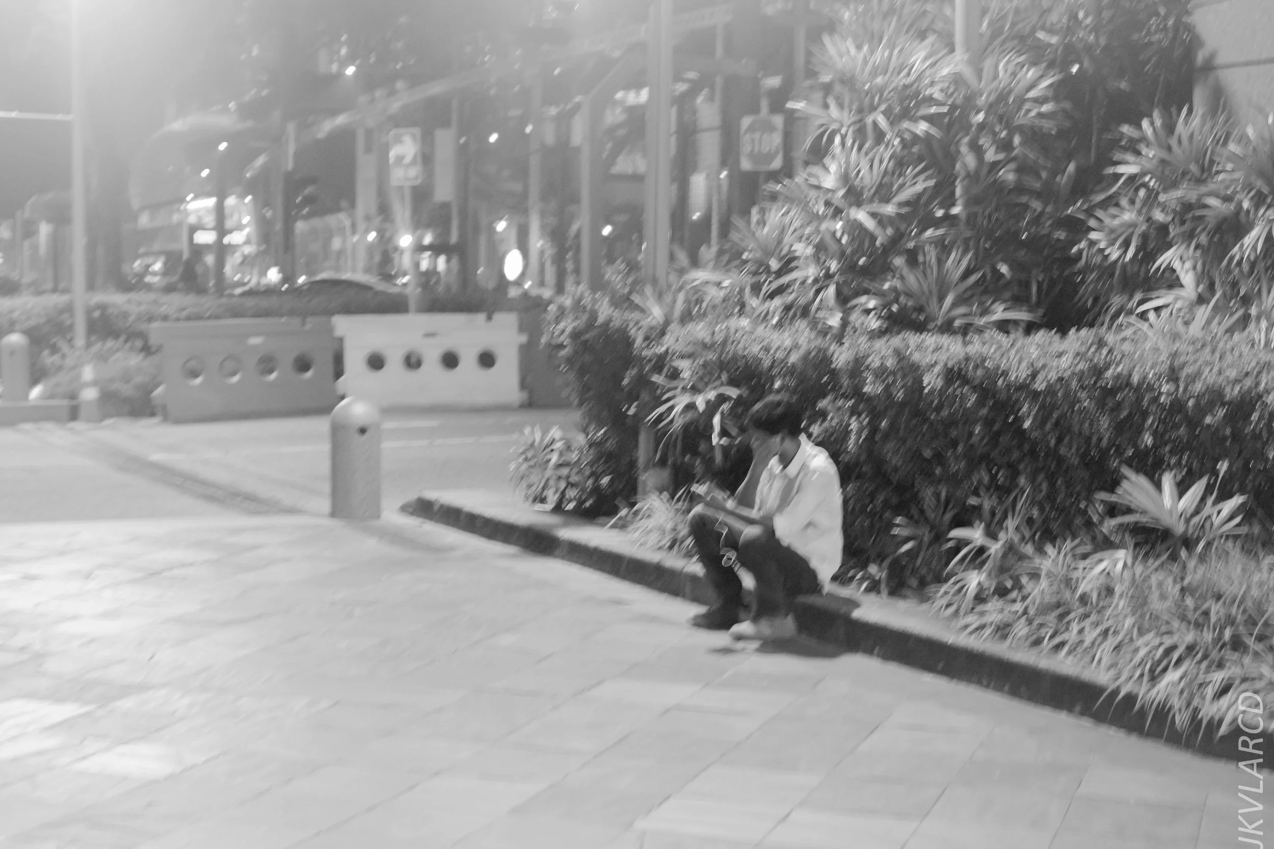 EOS 7D Mark II_2018_08_15_2144.jpg