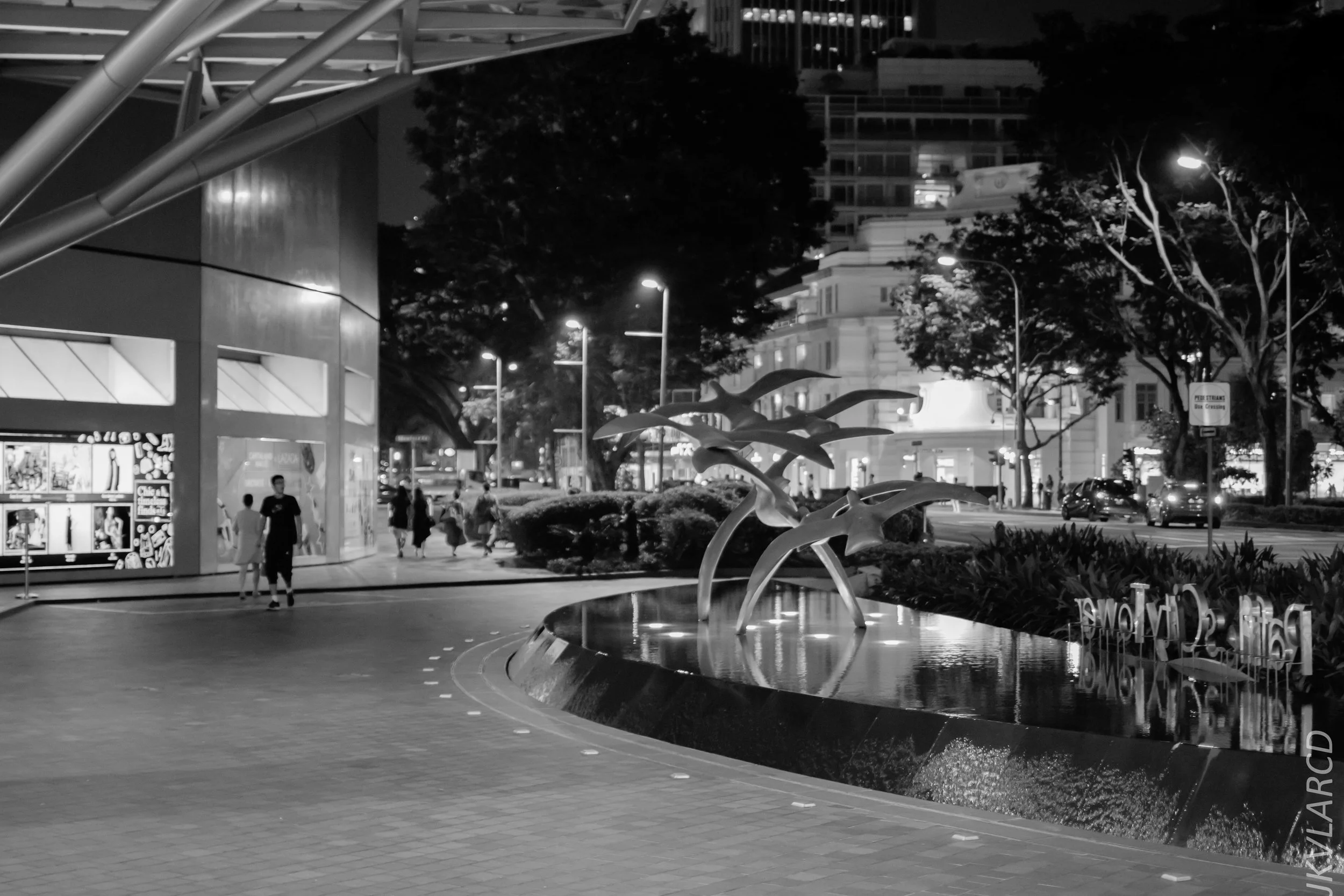 EOS 7D Mark II_2018_08_15_2153.jpg