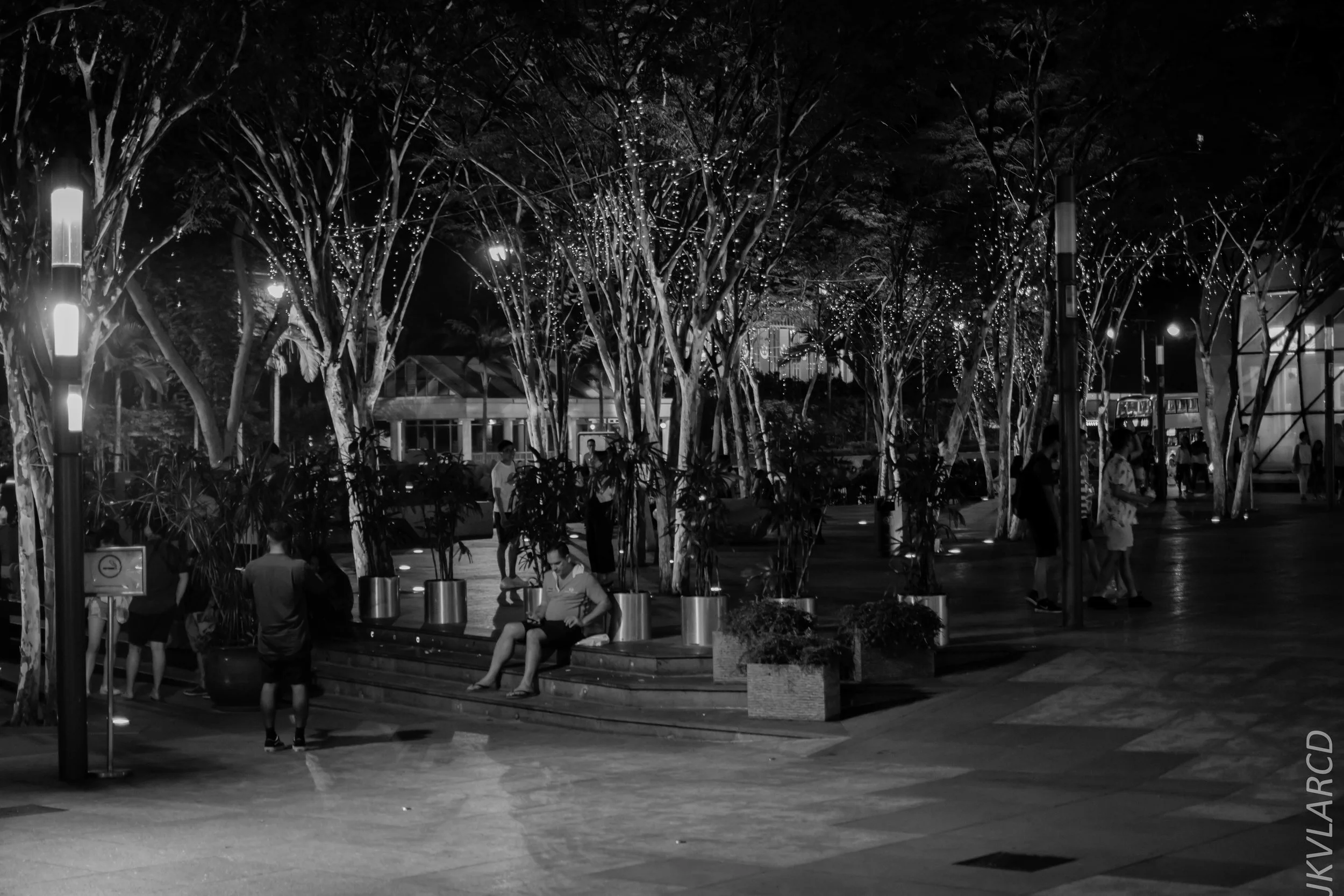 EOS 7D Mark II_2018_08_18_2206.jpg