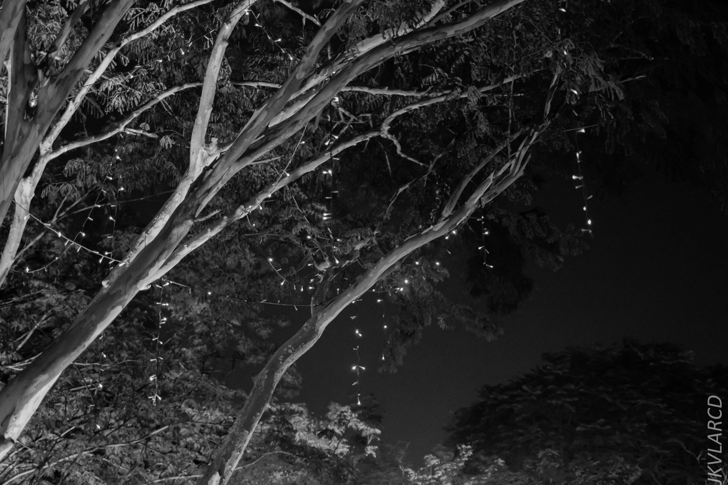 EOS 7D Mark II_2018_08_18_2208.jpg