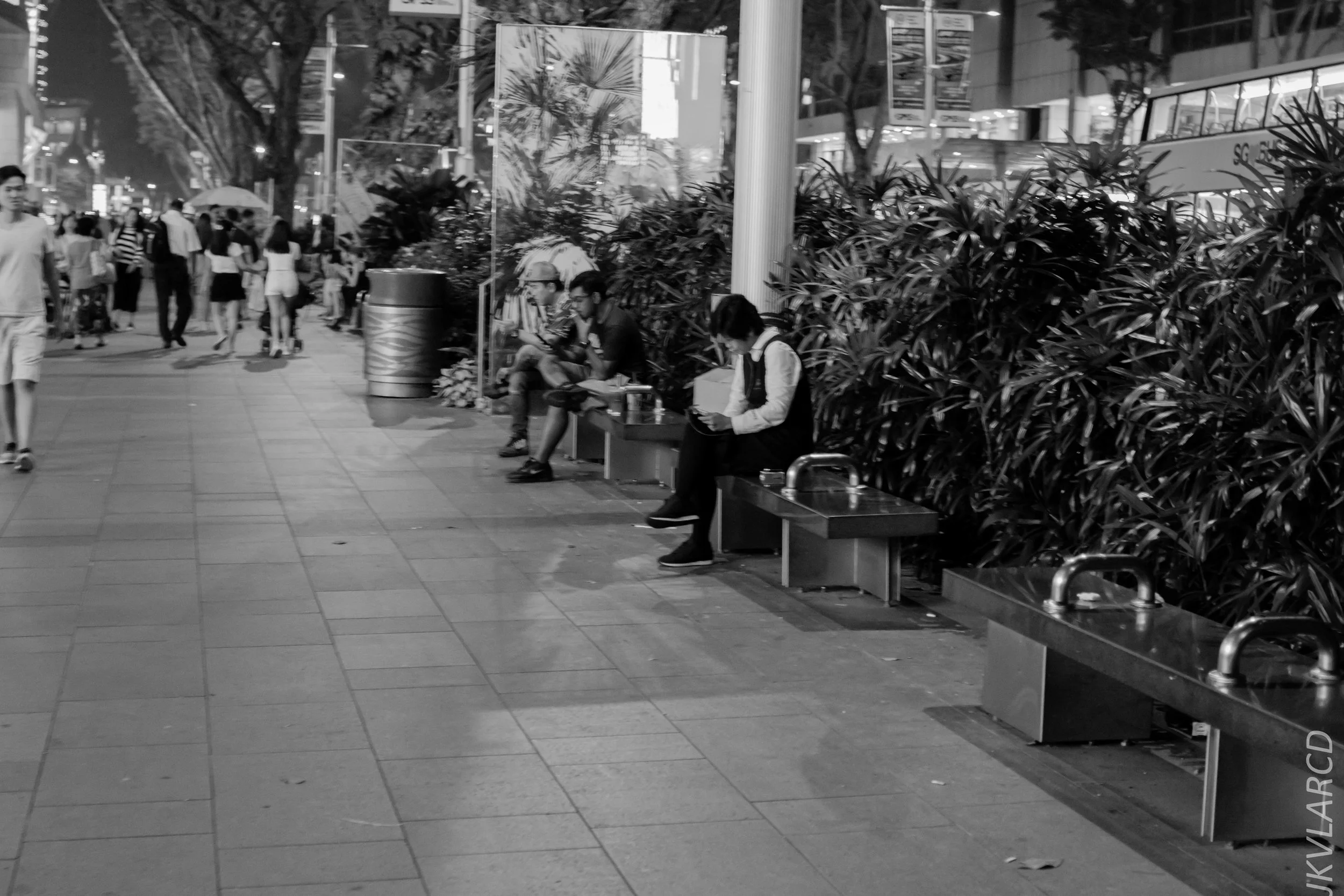 EOS 7D Mark II_2018_08_18_2241.jpg