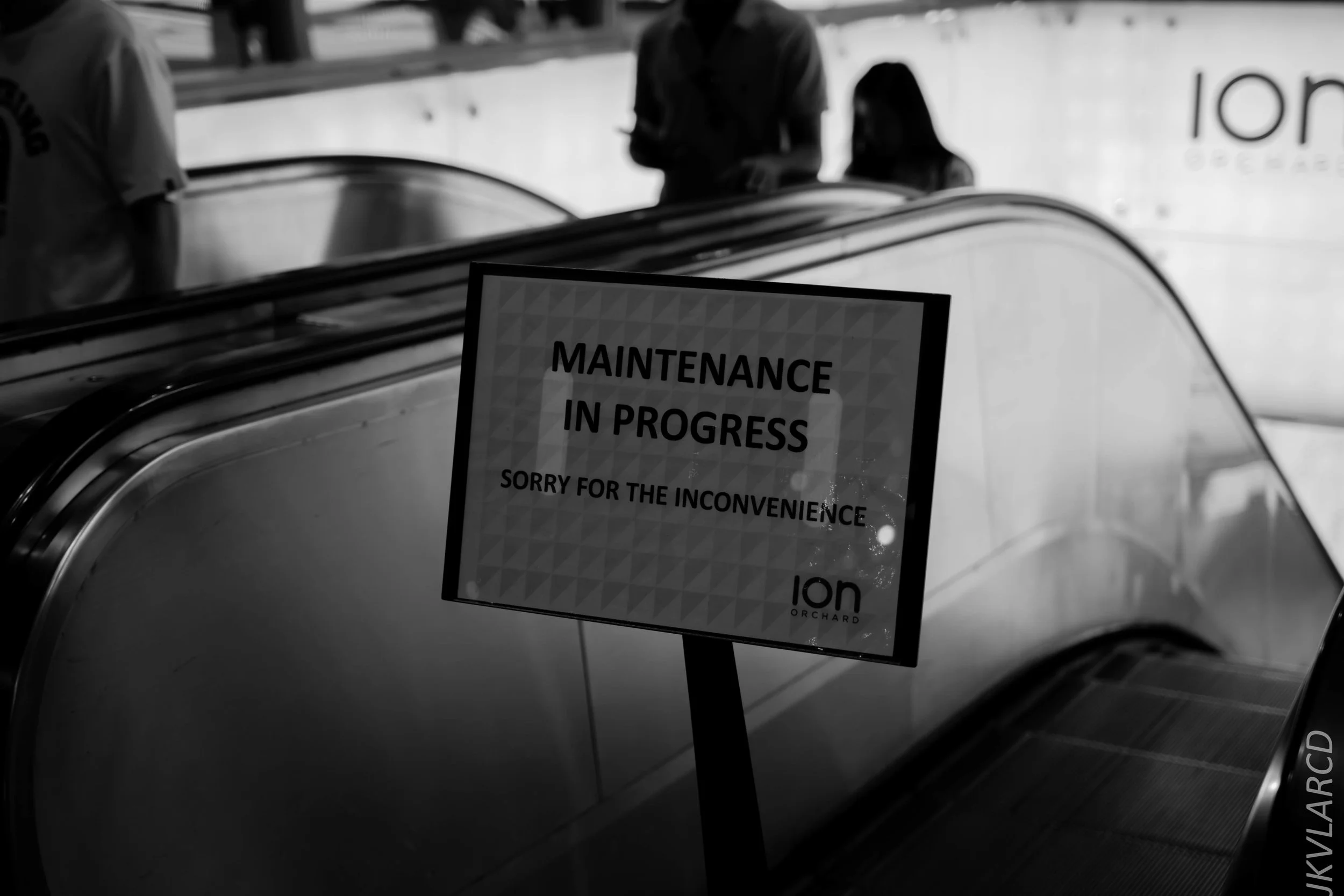 EOS 7D Mark II_2018_08_18_2250.jpg