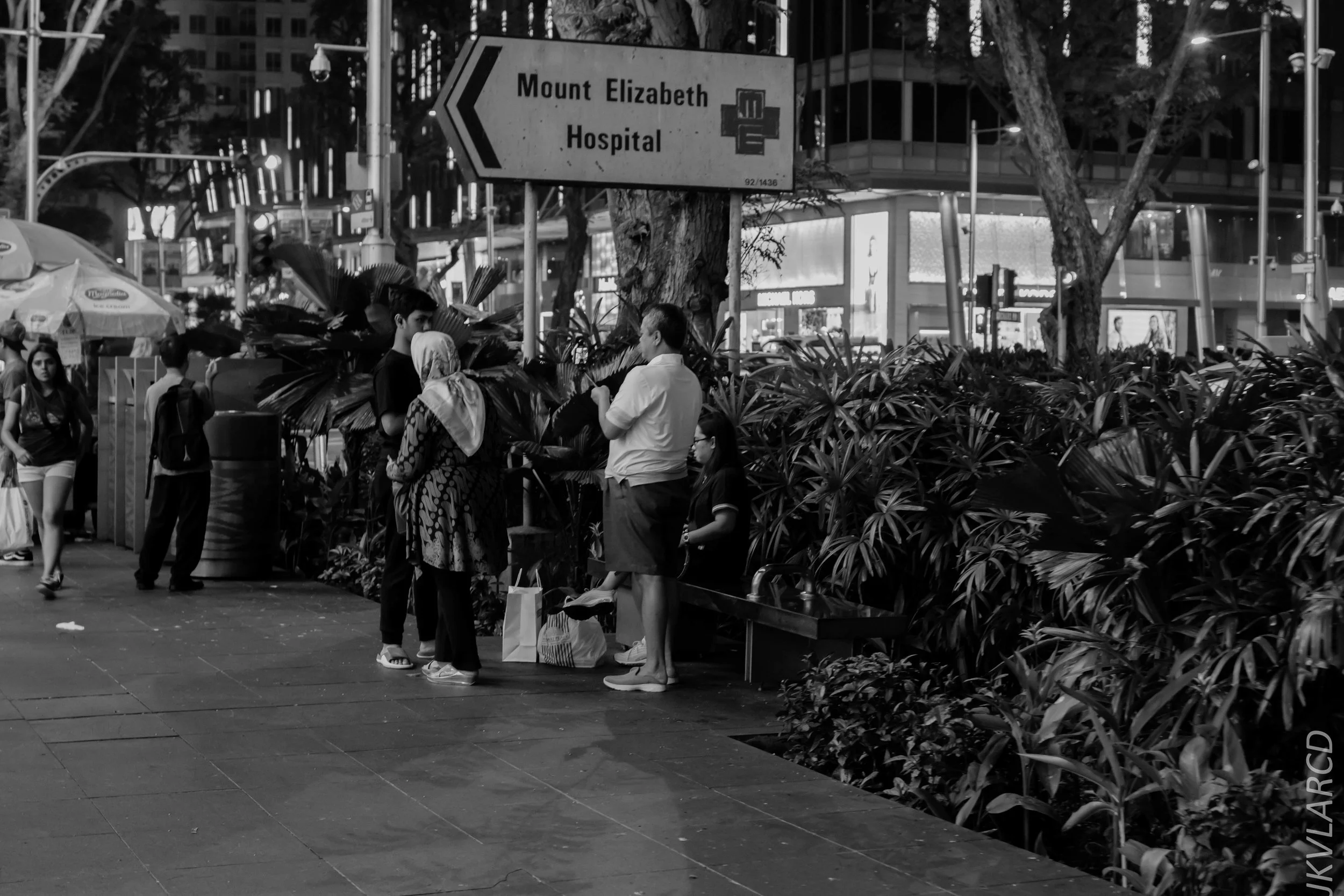 EOS 7D Mark II_2018_08_18_2258.jpg