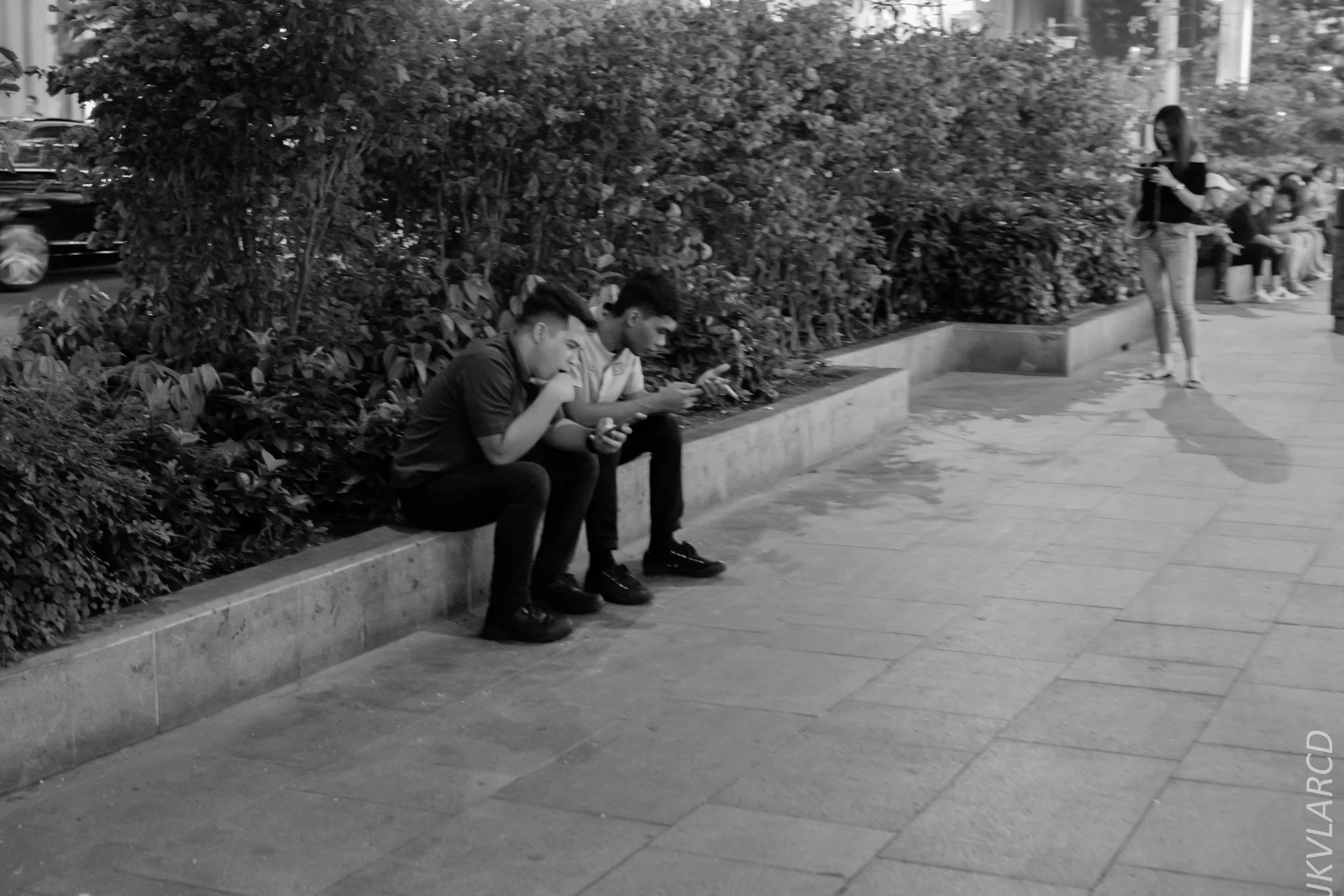 EOS 7D Mark II_2018_08_18_2265.jpg