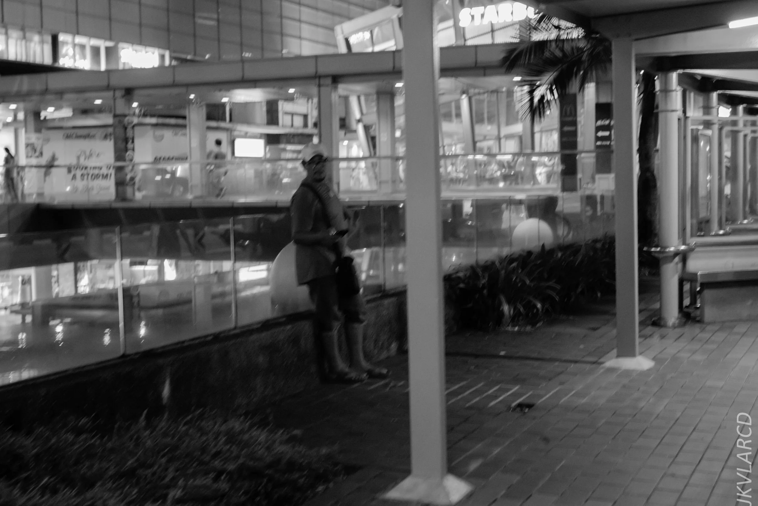 EOS 7D Mark II_2018_08_22_2281.jpg