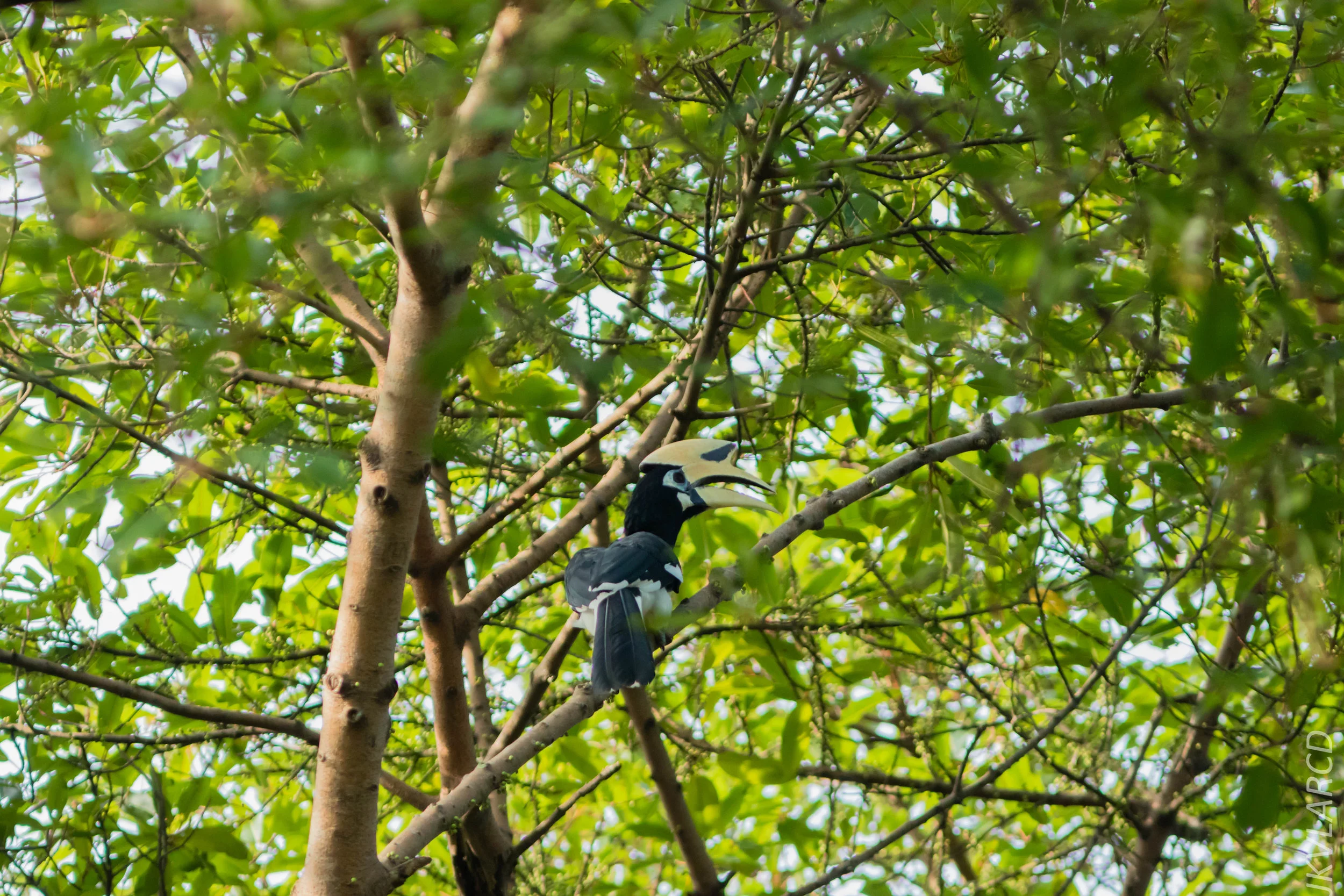 EOS 7D Mark II_2018_08_25_2370.jpg