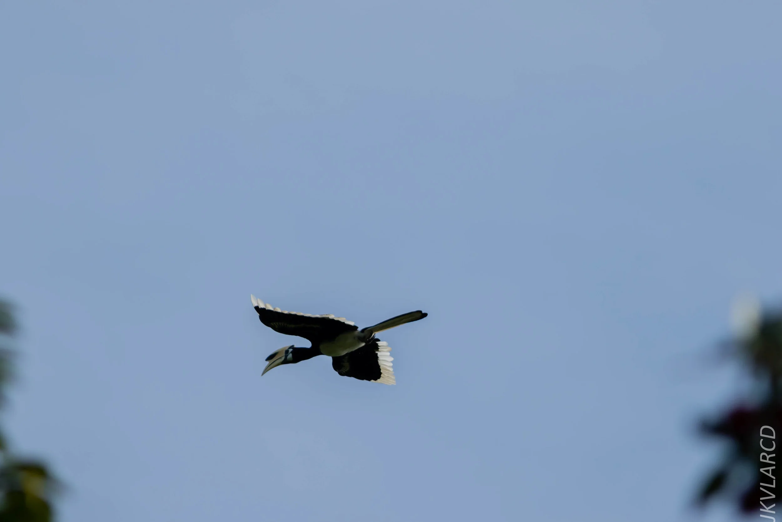 EOS 7D Mark II_2018_08_25_2525.jpg