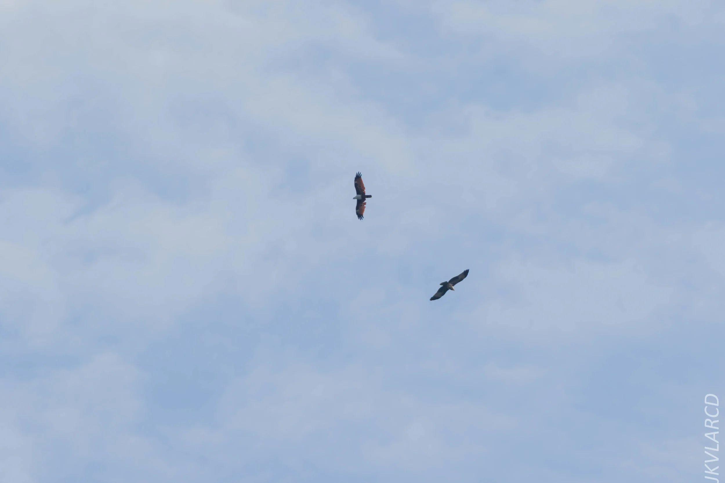 EOS 7D Mark II_2018_08_25_2668.jpg