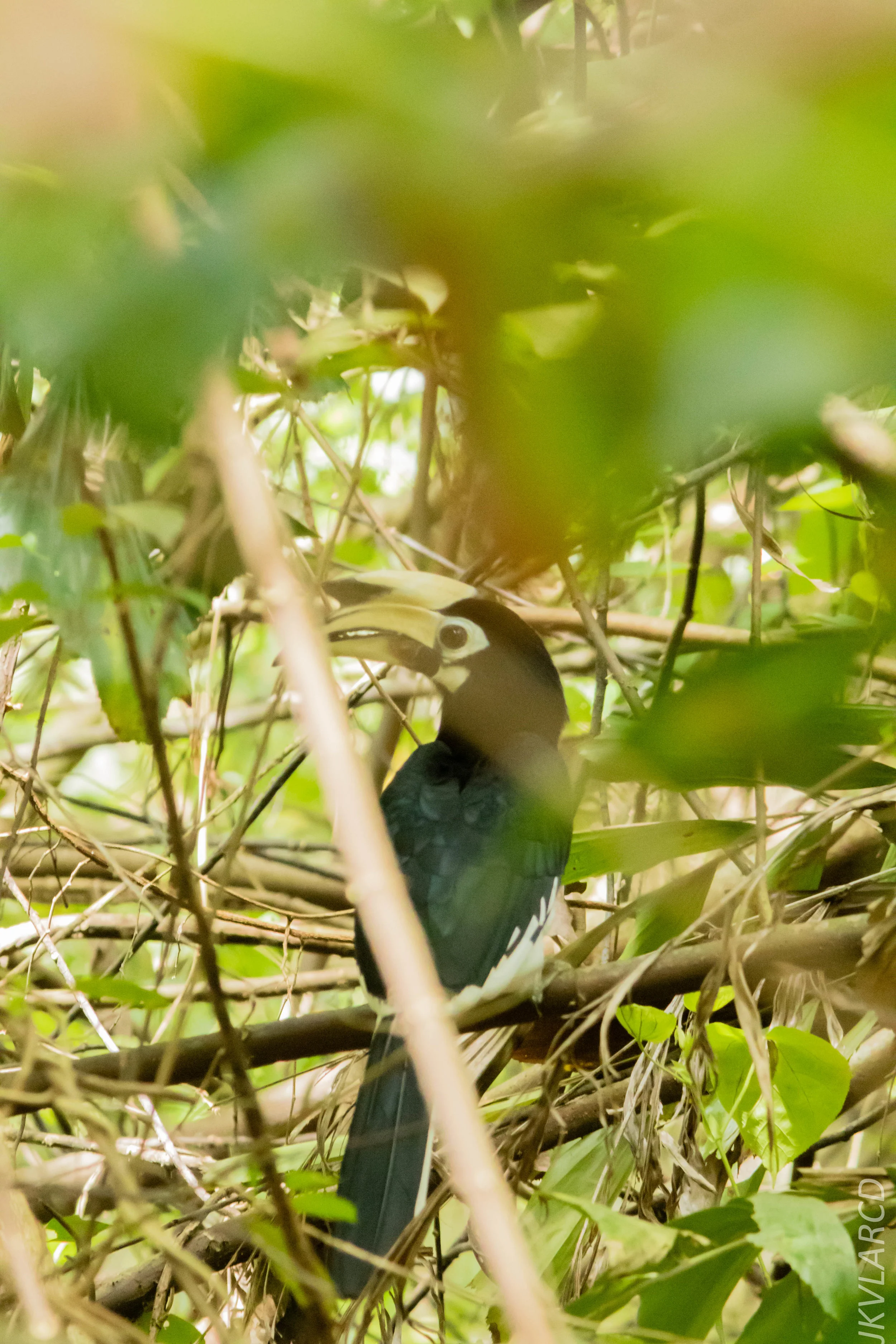 EOS 7D Mark II_2018_08_25_2774.jpg