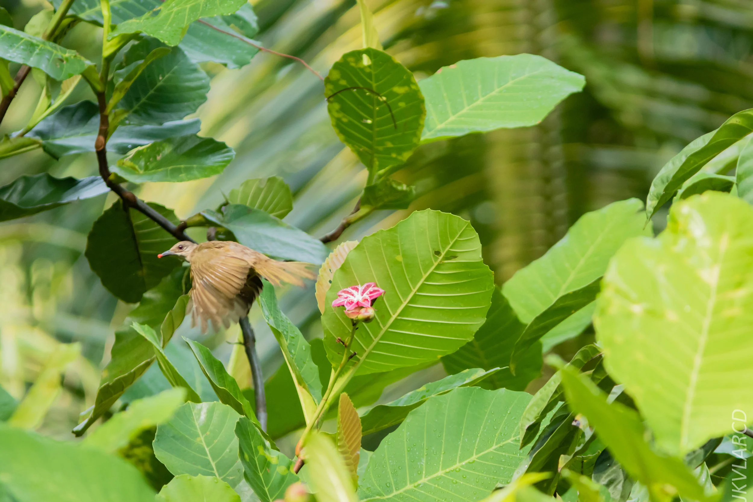 EOS 7D Mark II_2018_08_25_2469.jpg
