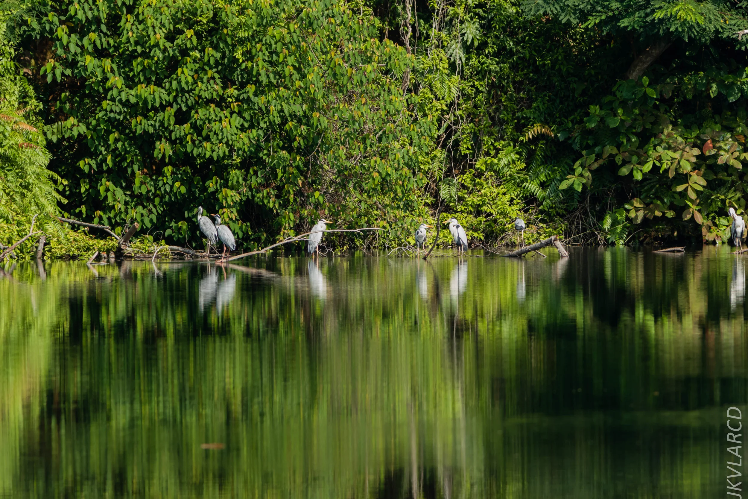 EOS 7D Mark II_2018_08_25_2672.jpg