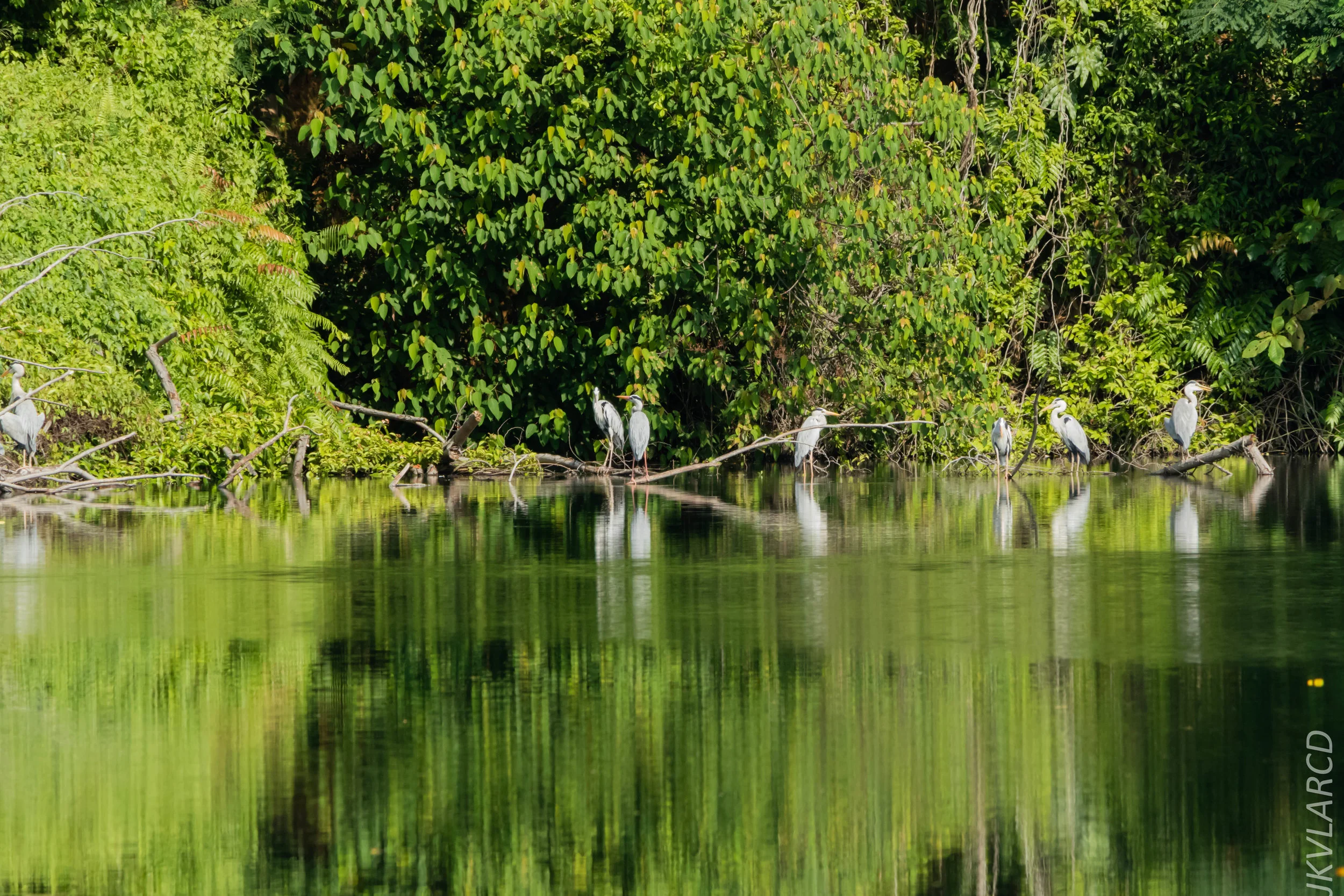 EOS 7D Mark II_2018_08_25_2688.jpg