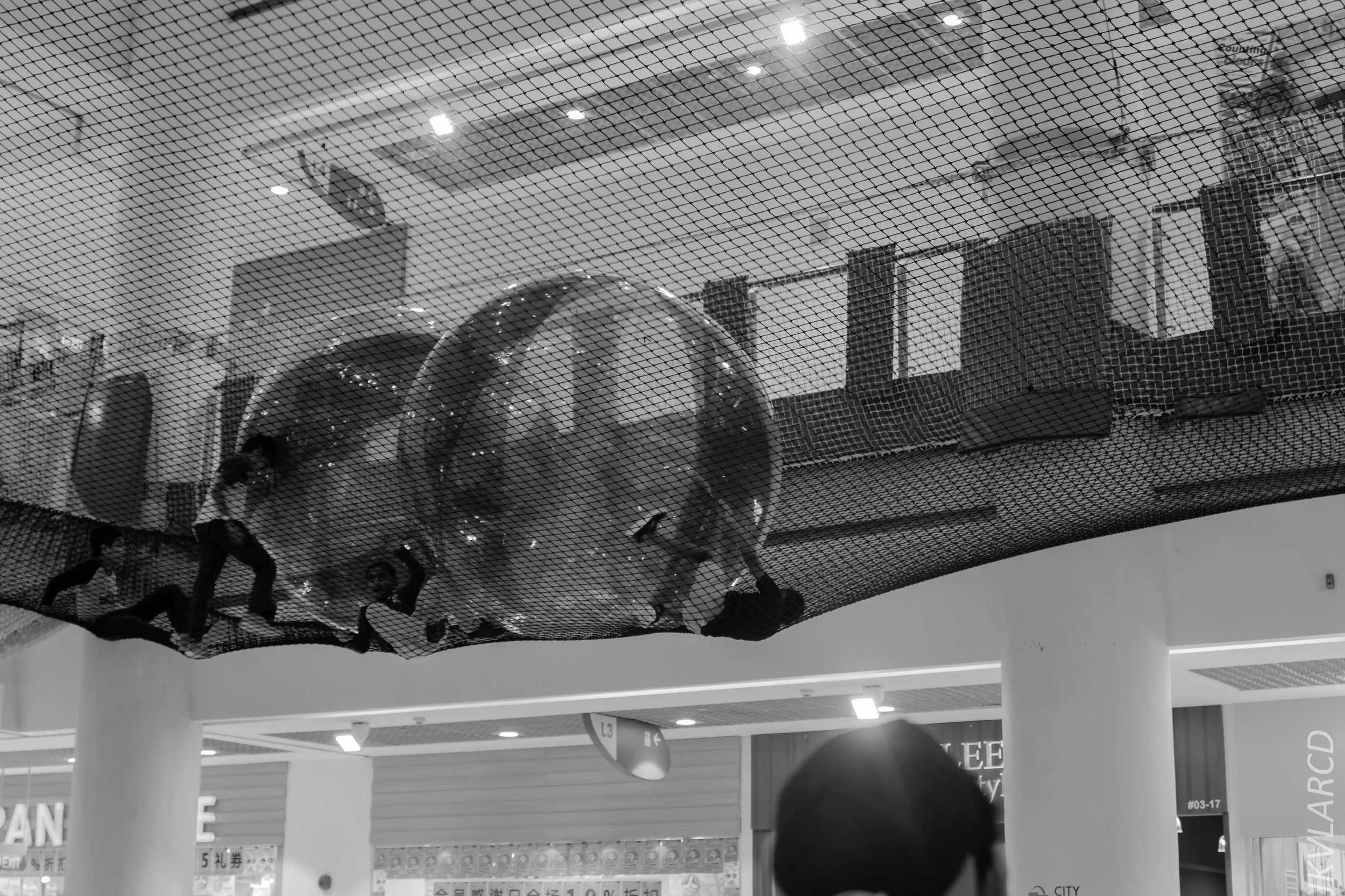 EOS 7D Mark II_2018_09_22_2907.jpg