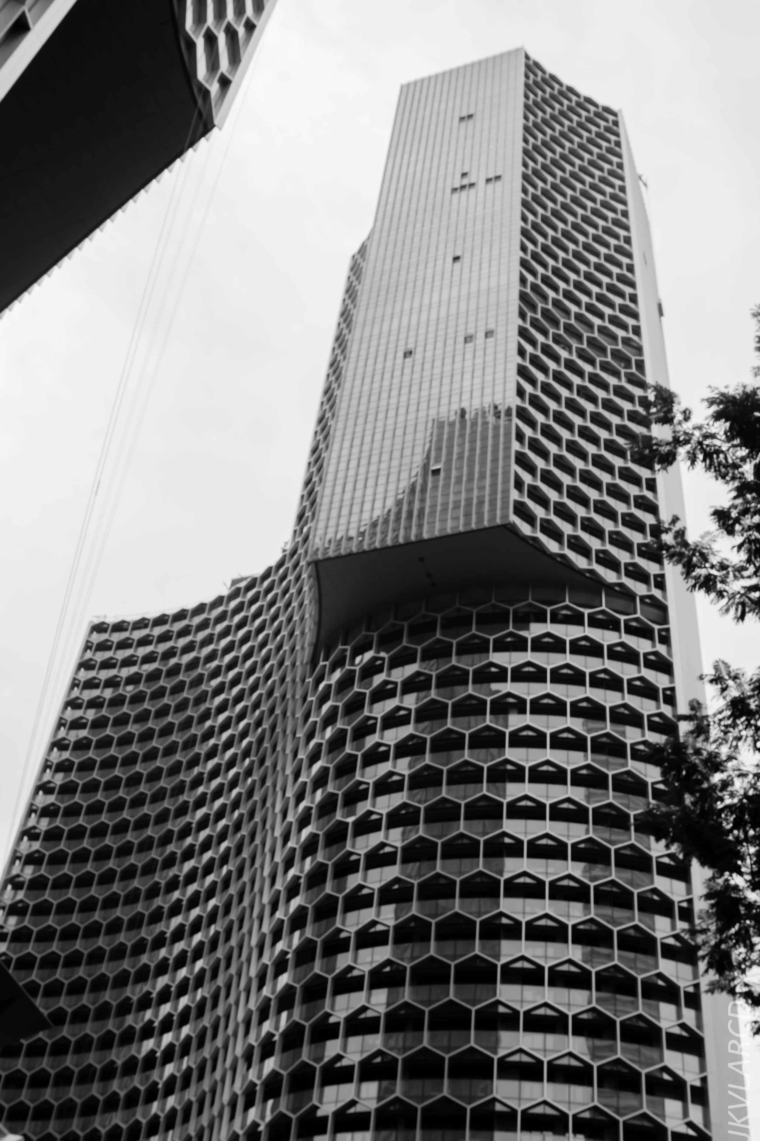 EOS 6D_2018_11_02_0083.jpg