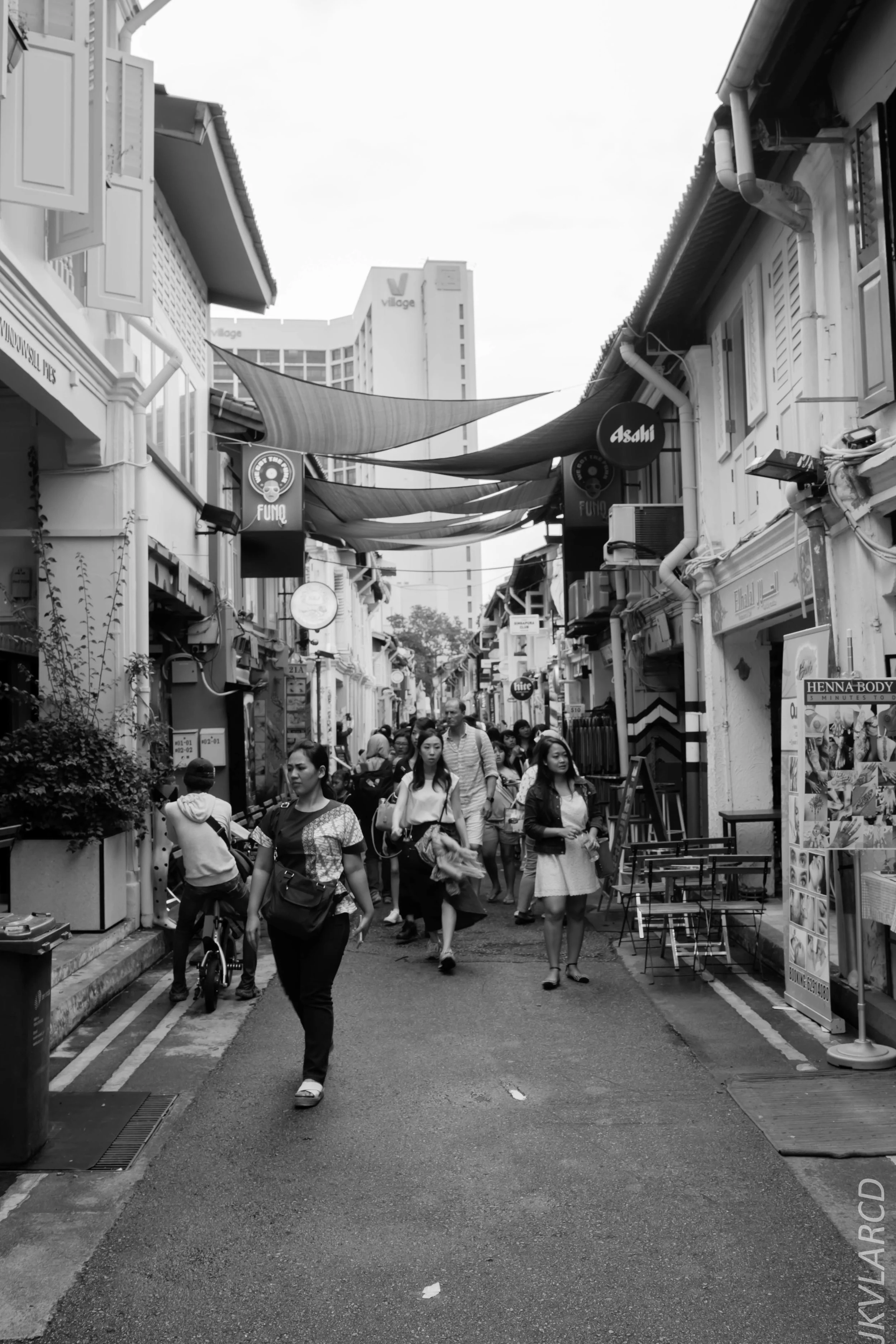 EOS 6D_2018_11_02_0095.jpg