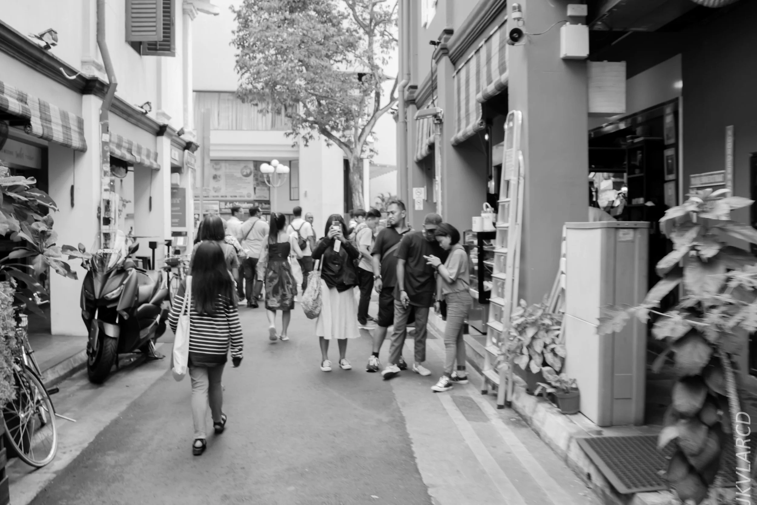 EOS 6D_2018_11_02_0099.jpg