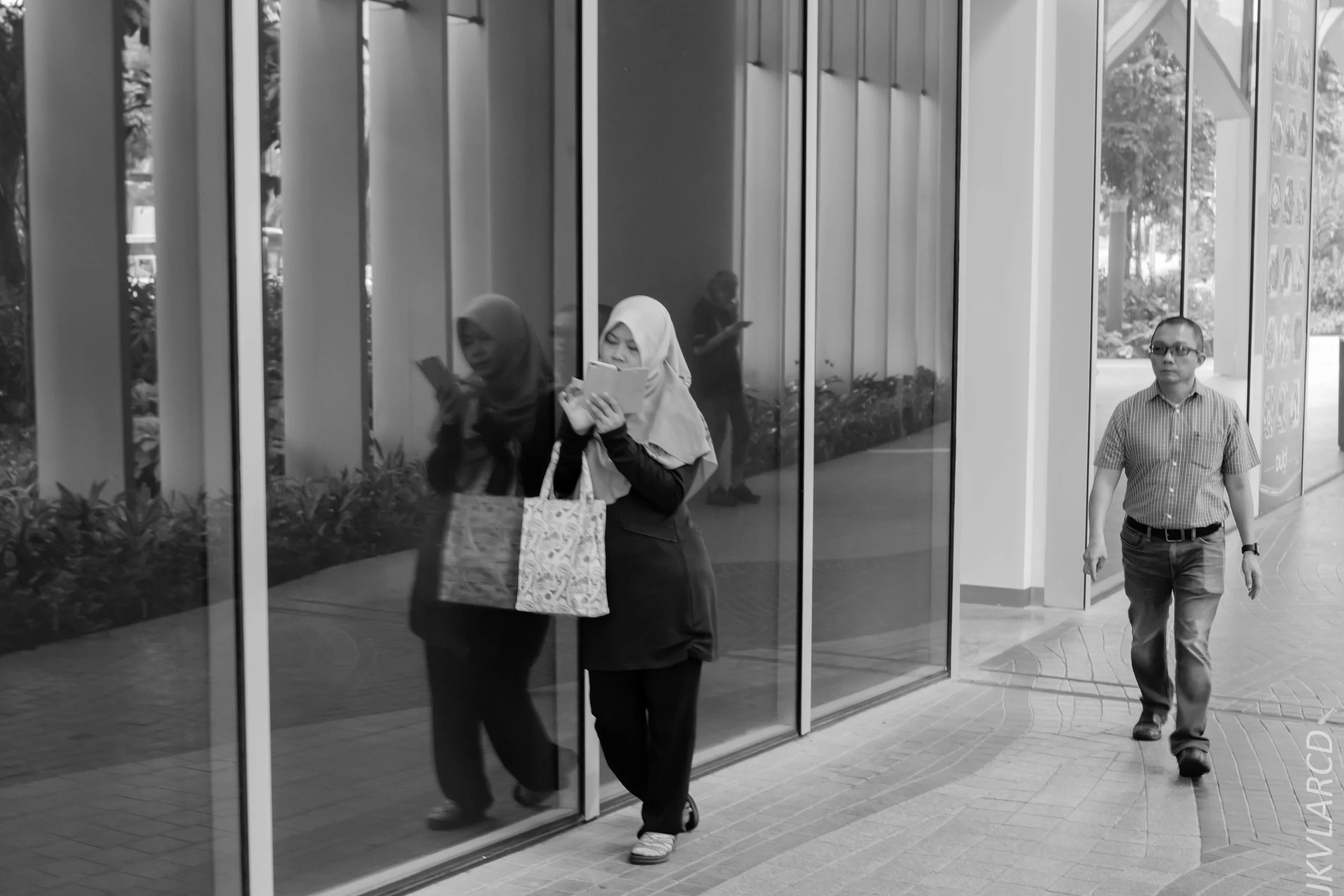 EOS 7D Mark II_2018_11_02_3072.jpg