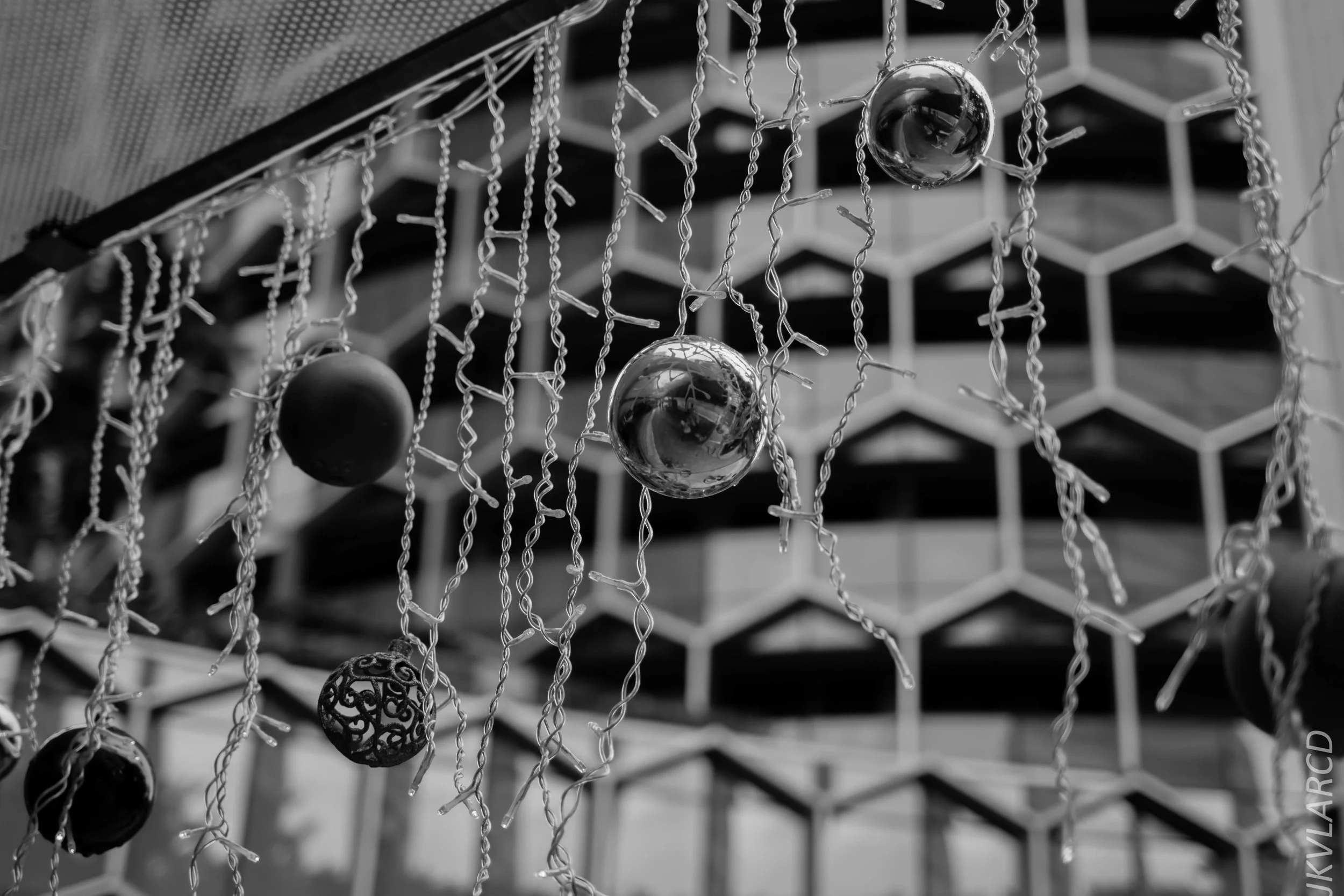 EOS 7D Mark II_2018_11_02_3076.jpg