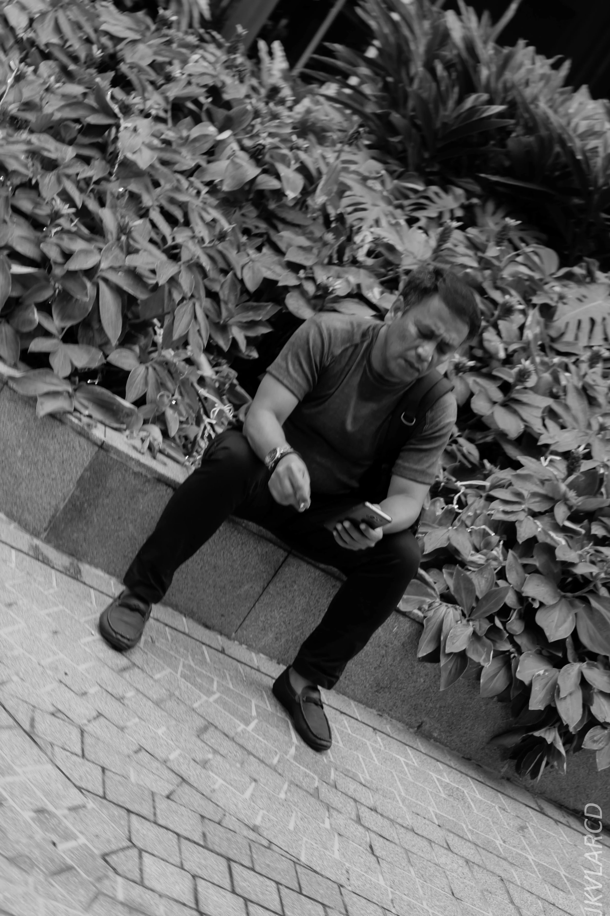 EOS 7D Mark II_2018_11_02_3077.jpg