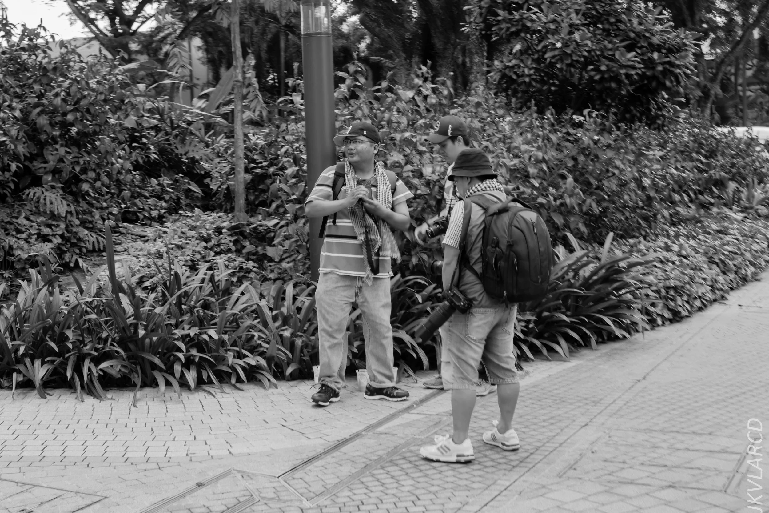 EOS 7D Mark II_2018_11_02_3079.jpg