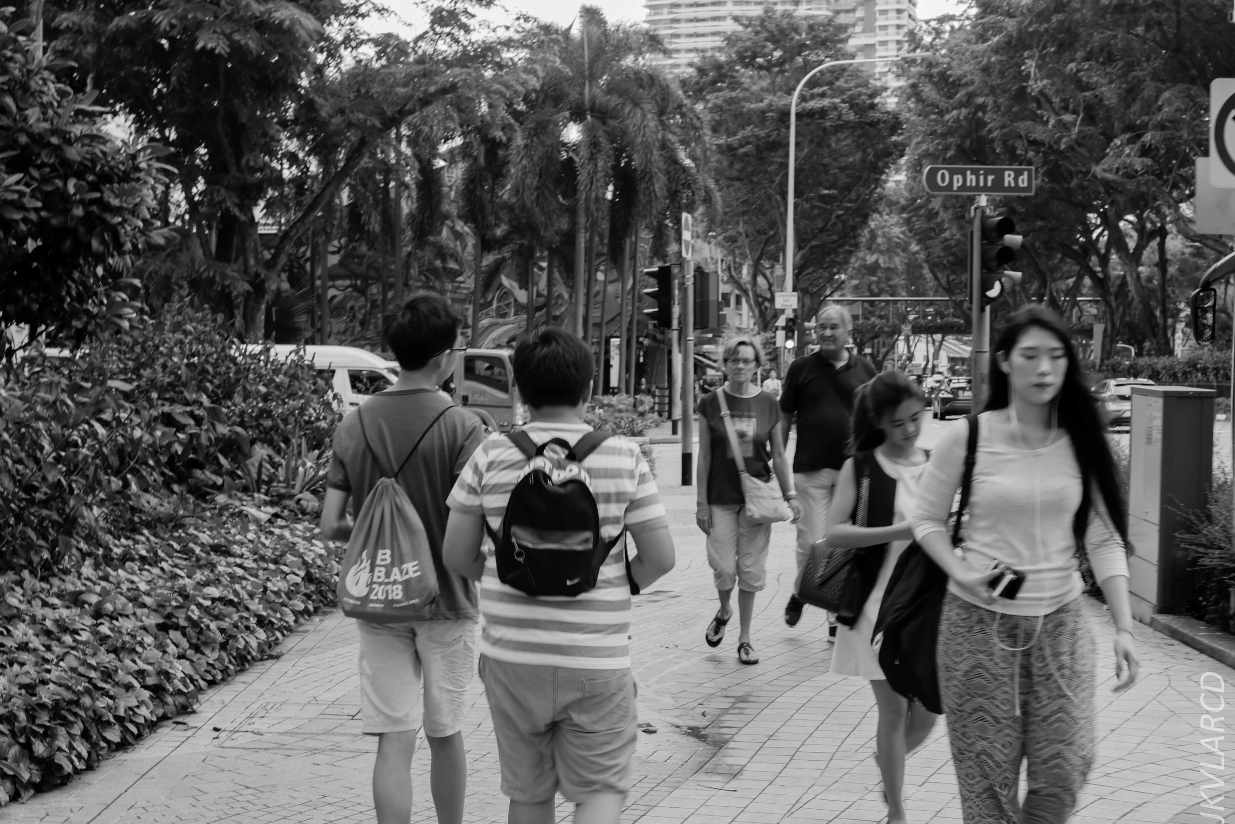 EOS 7D Mark II_2018_11_02_3080.jpg