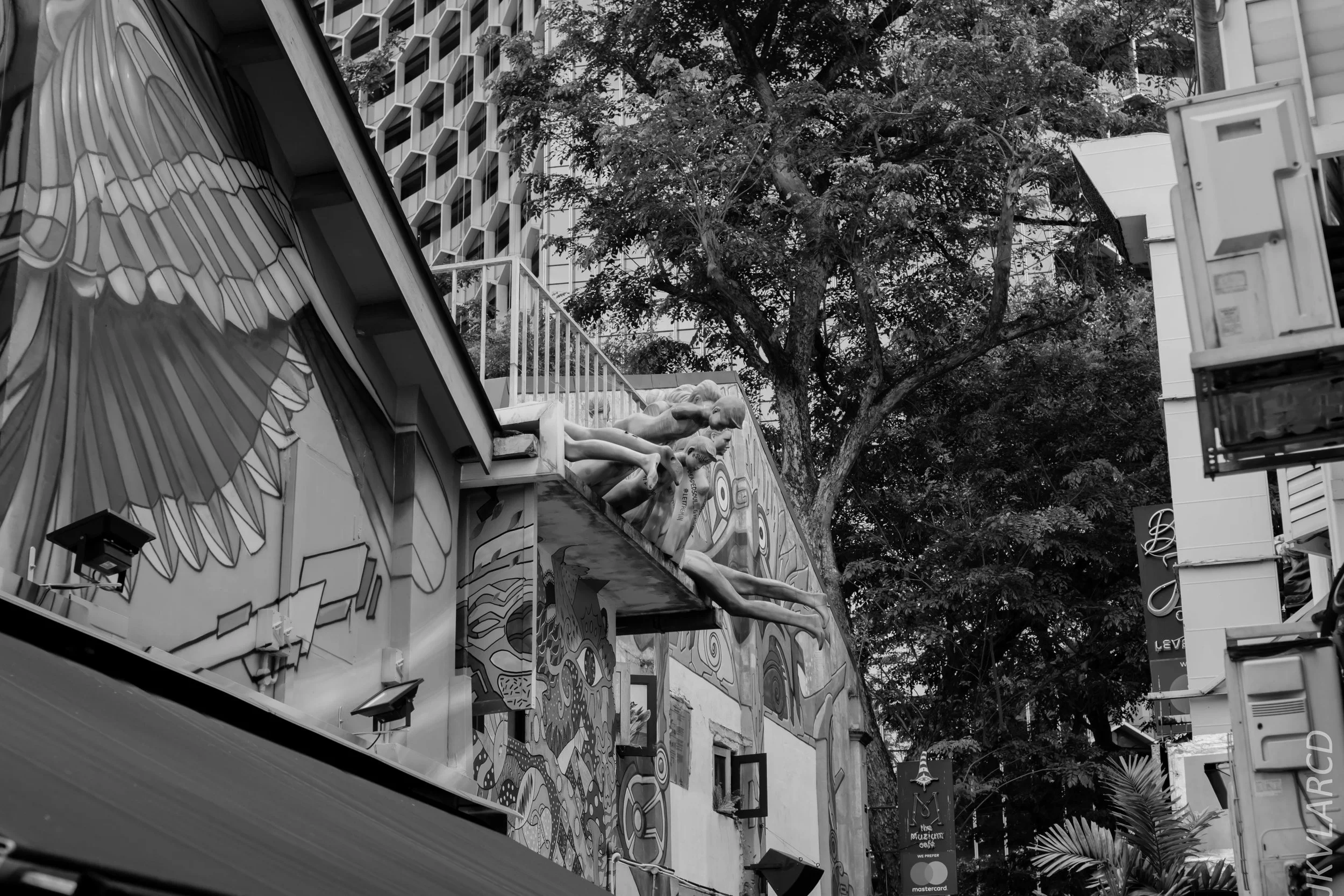 EOS 7D Mark II_2018_11_02_3096.jpg