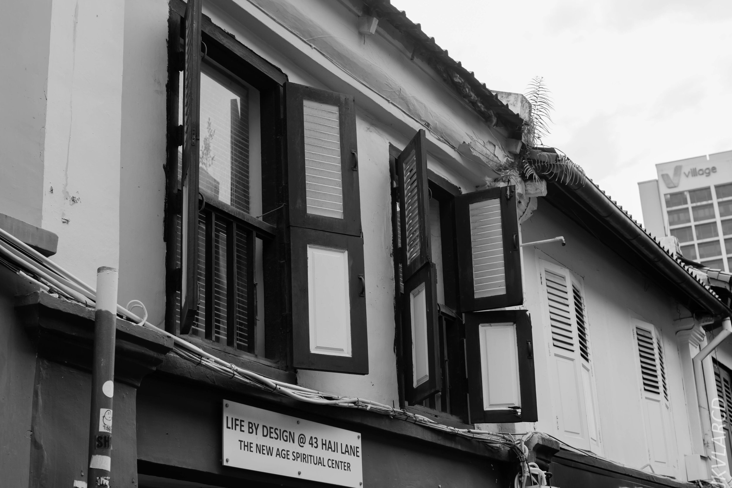 EOS 7D Mark II_2018_11_02_3099.jpg