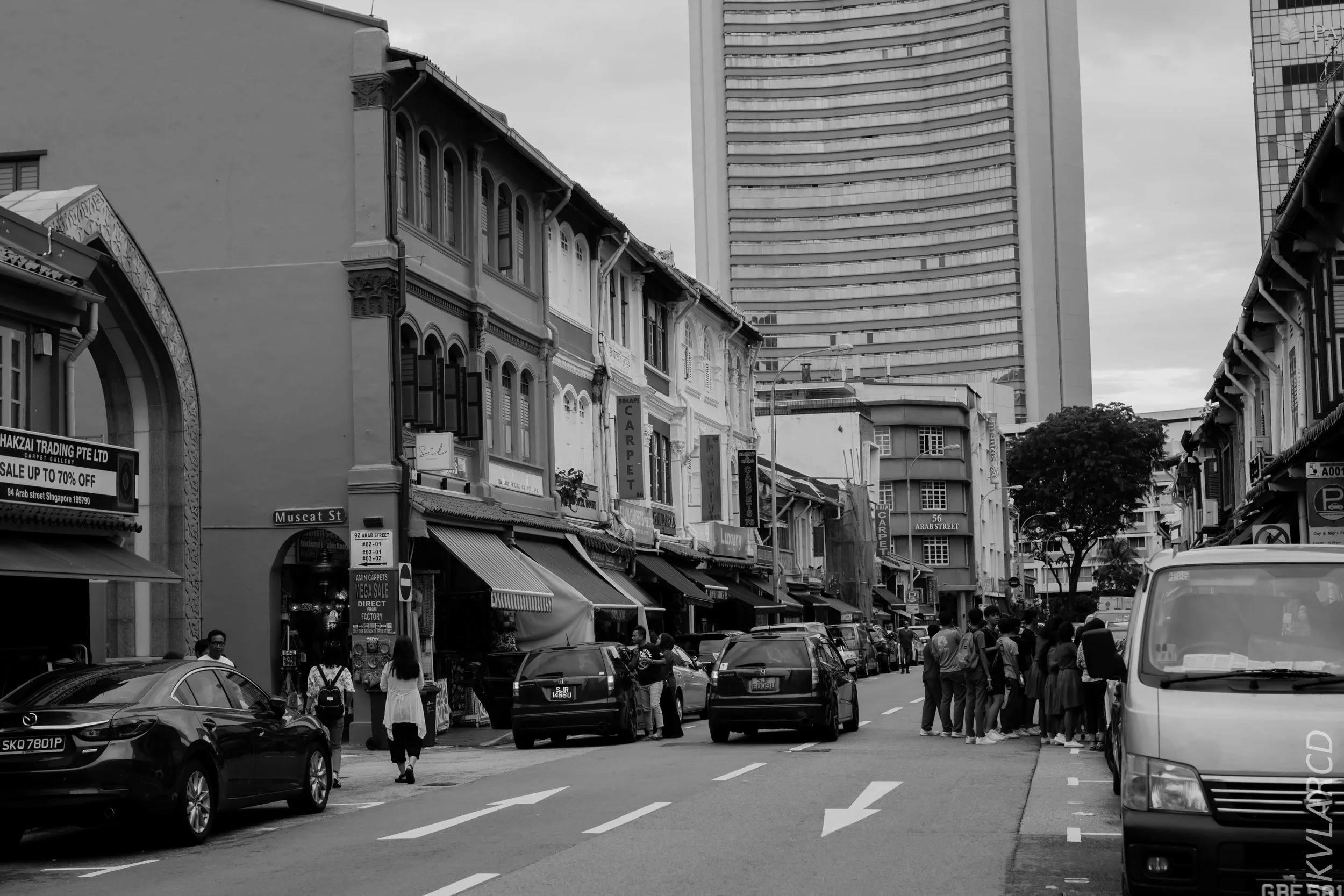 EOS 7D Mark II_2018_11_02_3113.jpg